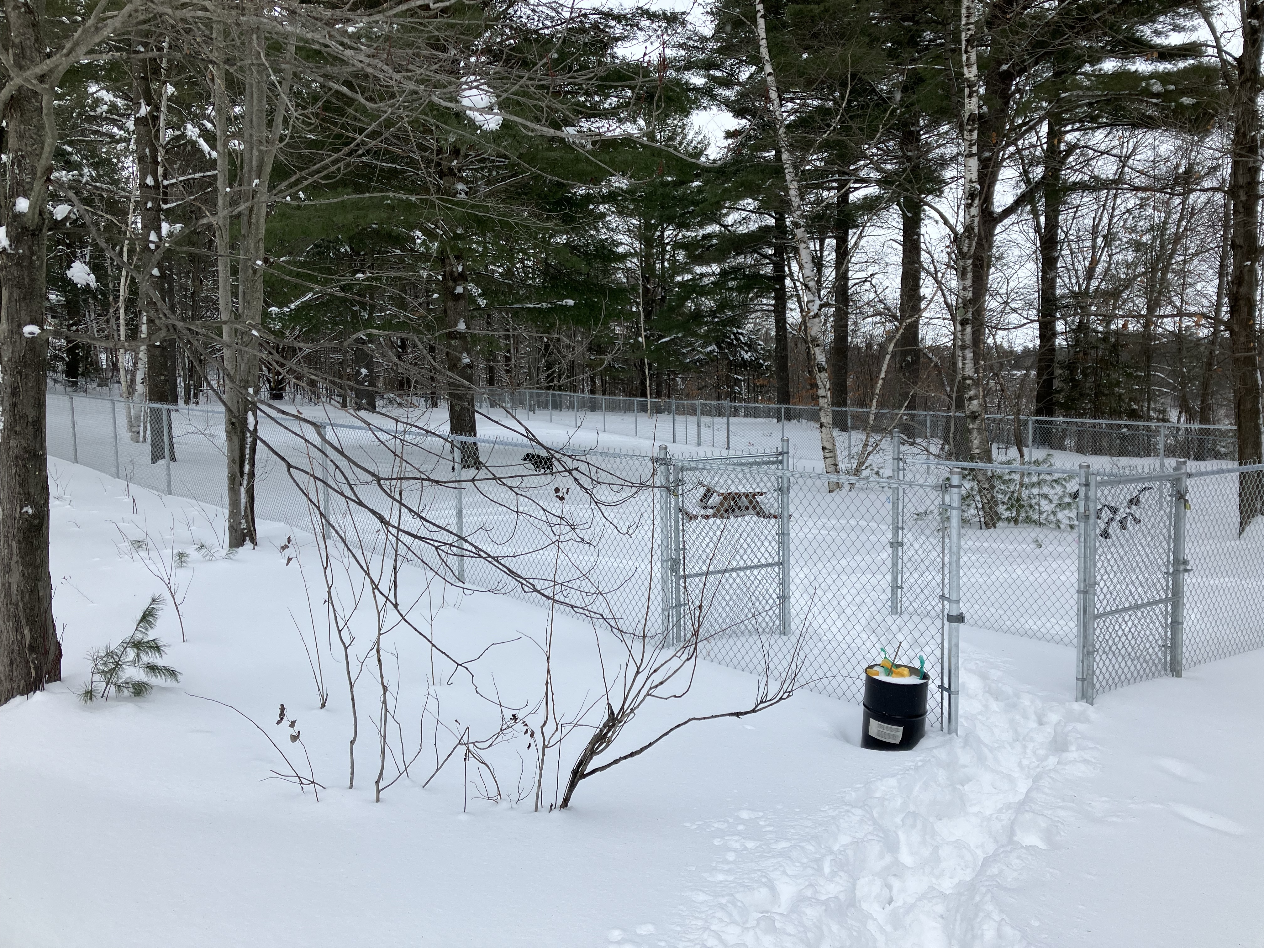 Parc à chiens Rawdon
