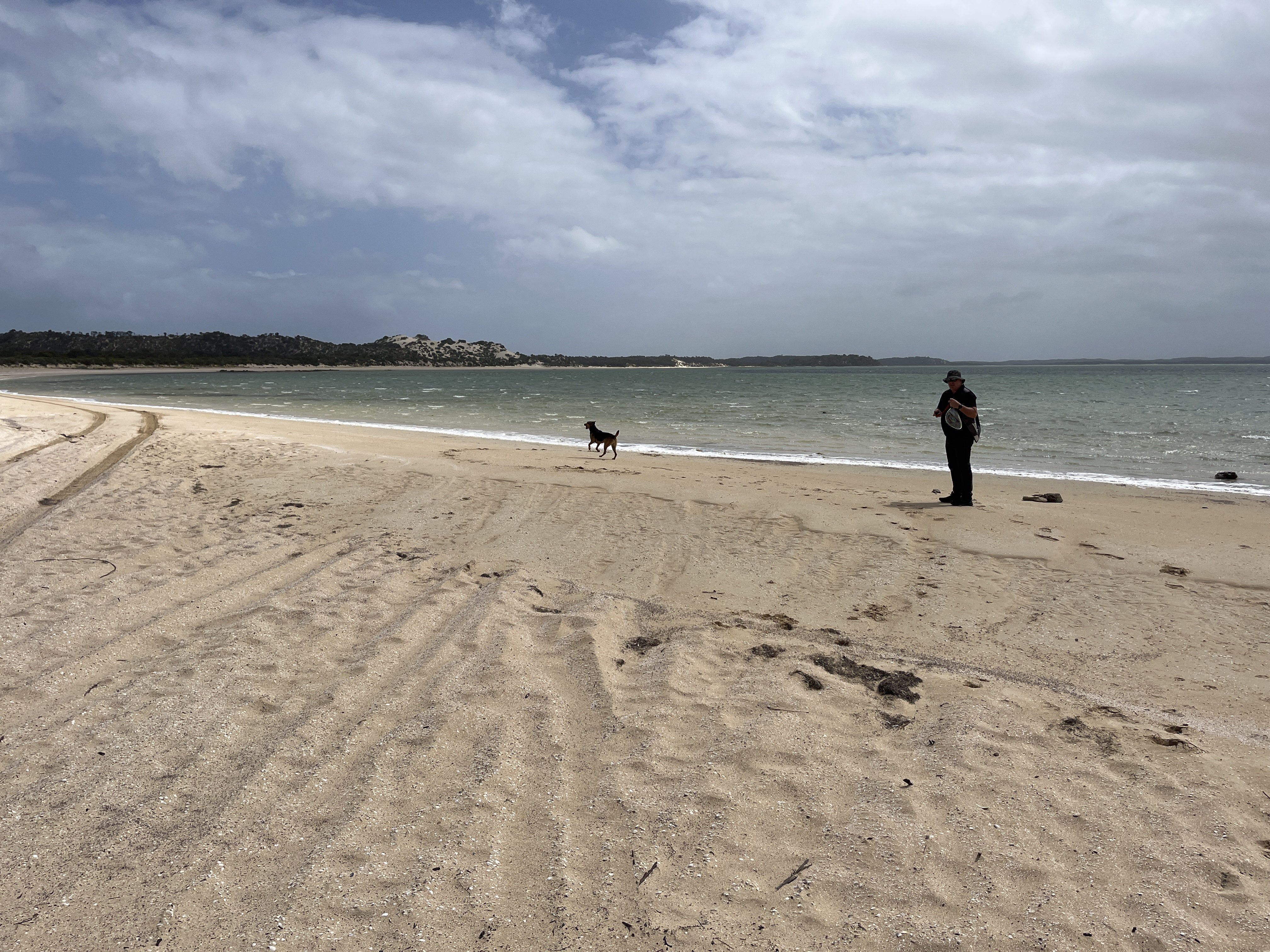 Long Beach Off -Leash