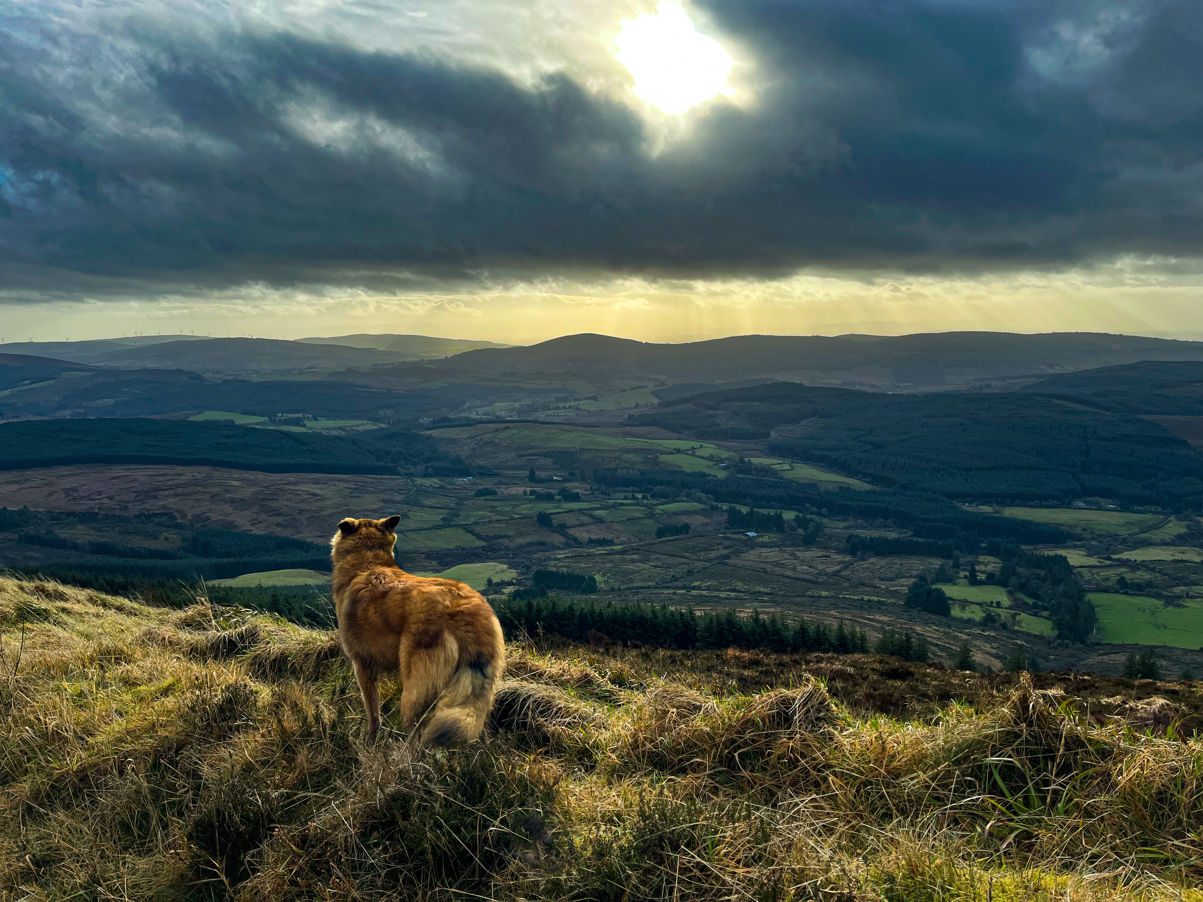 Keeper Hill And Forest