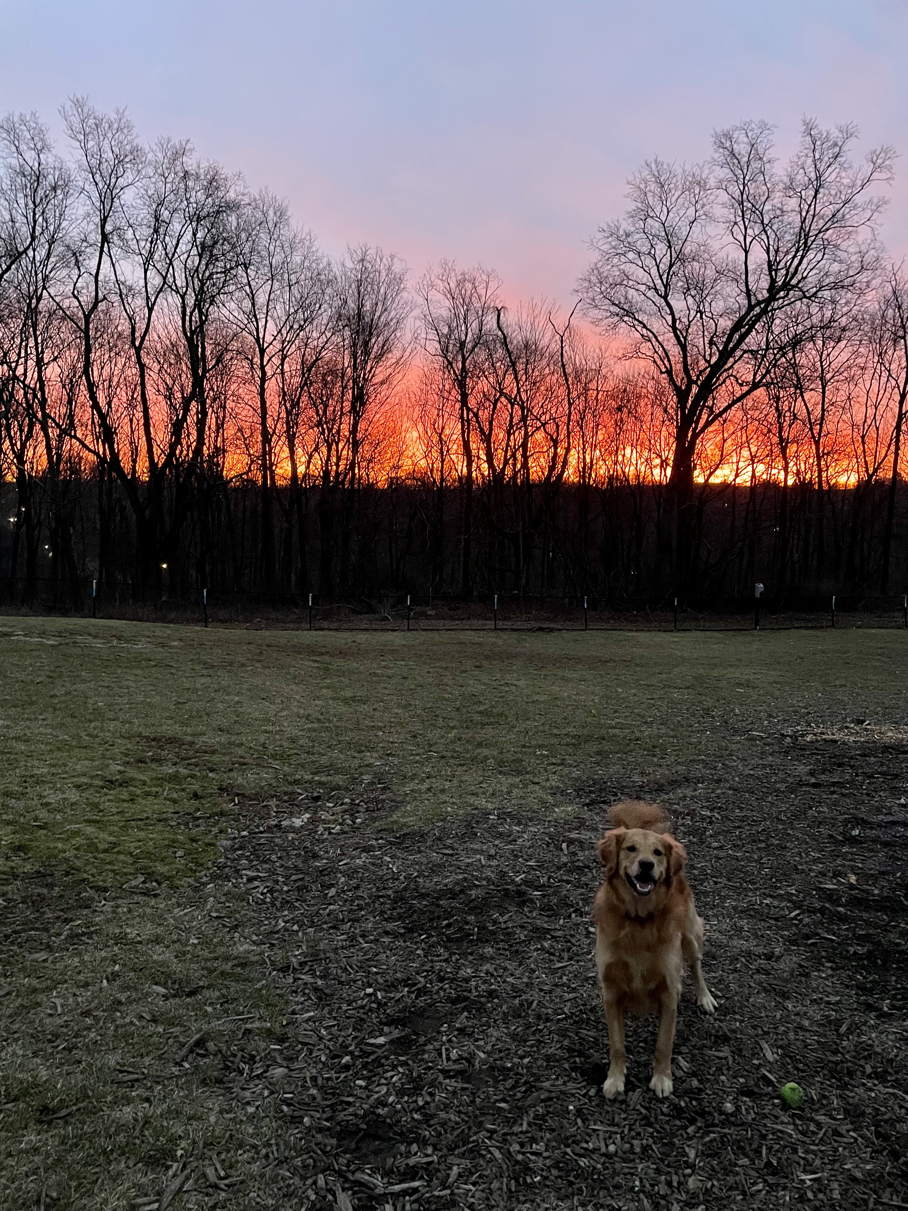 New Fairfield Dog Park