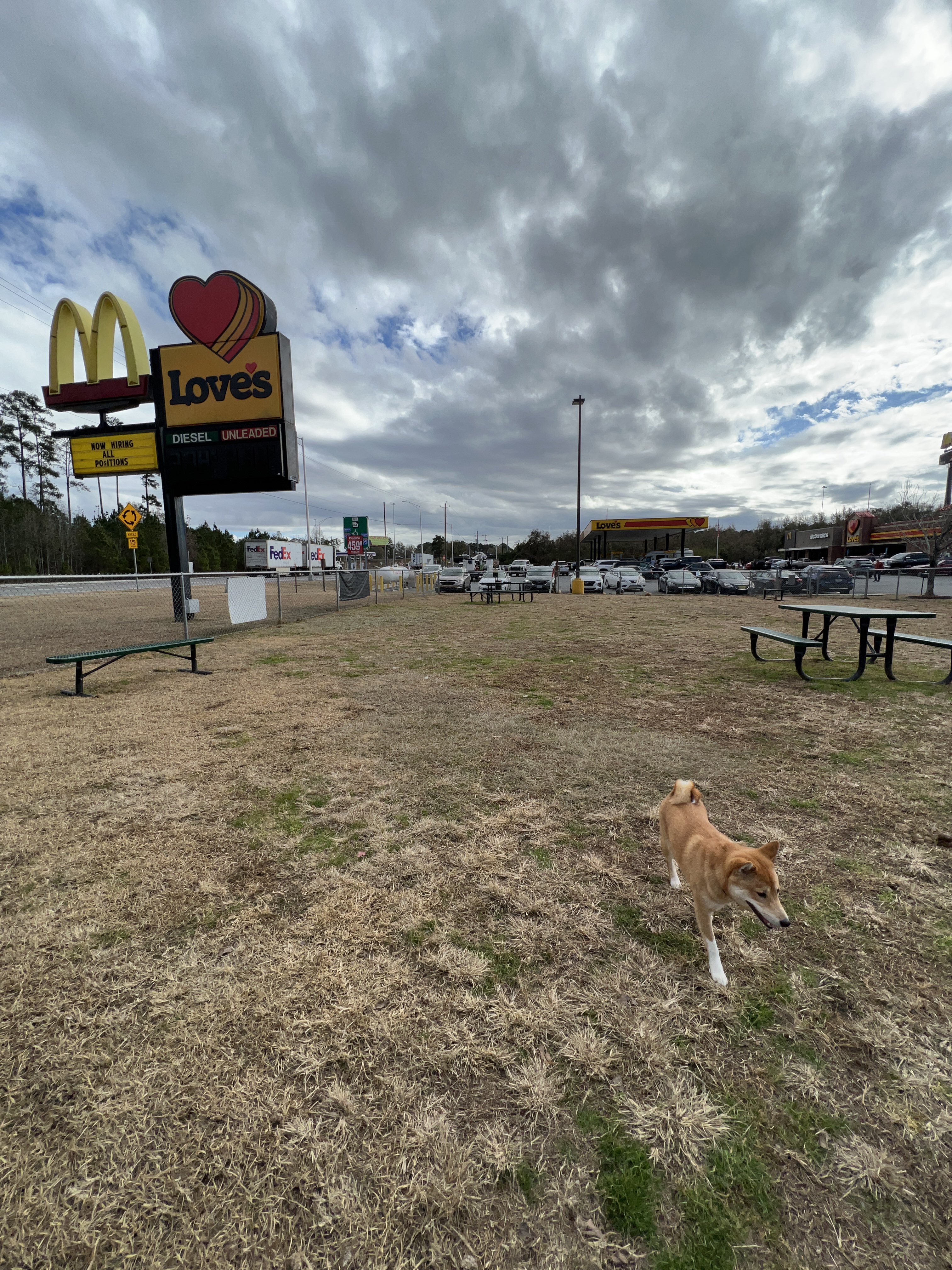 Love's Travel Stop Dog Park, Richmond Hill