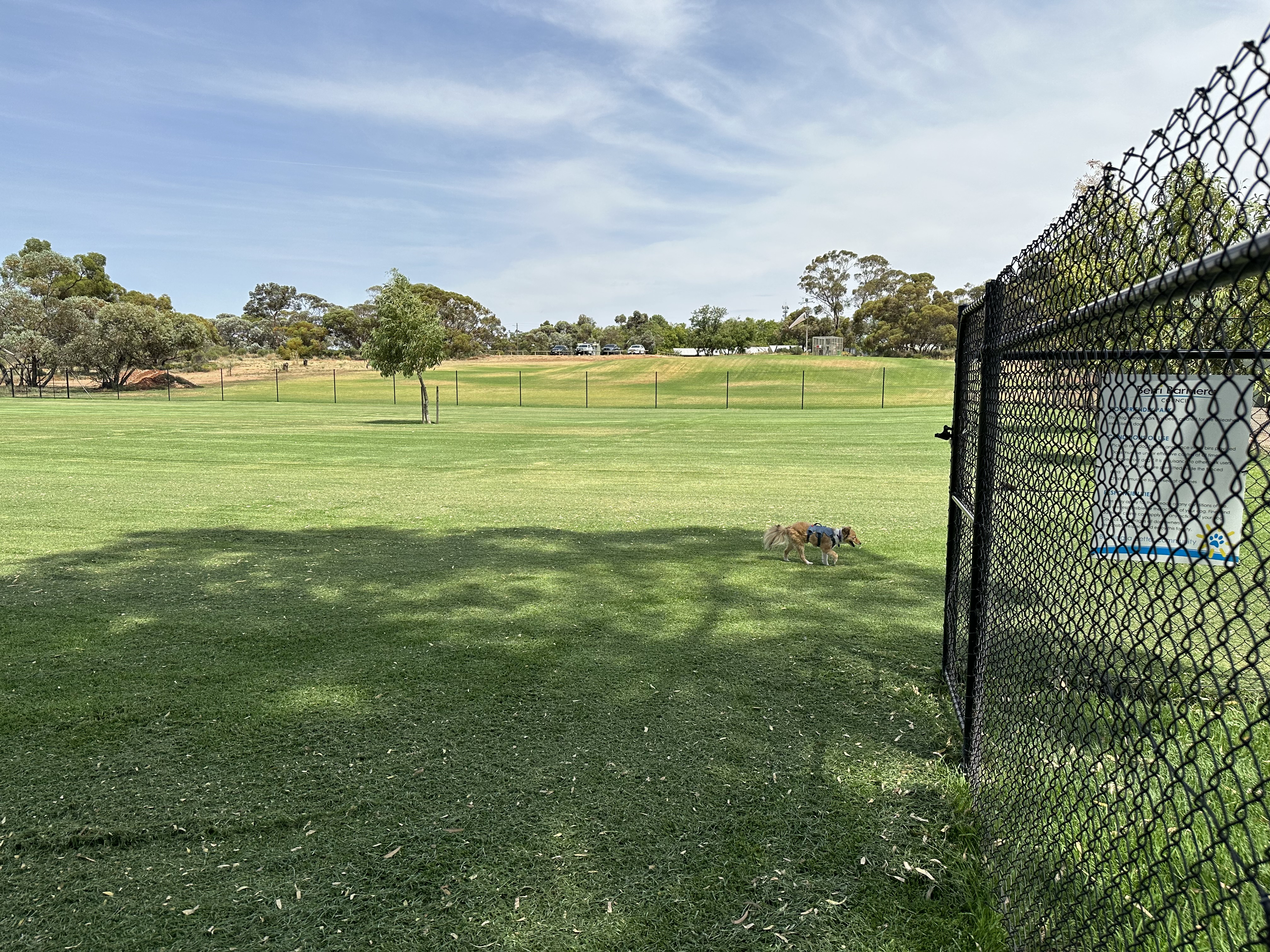 Colin Jennings Apex Dog Park