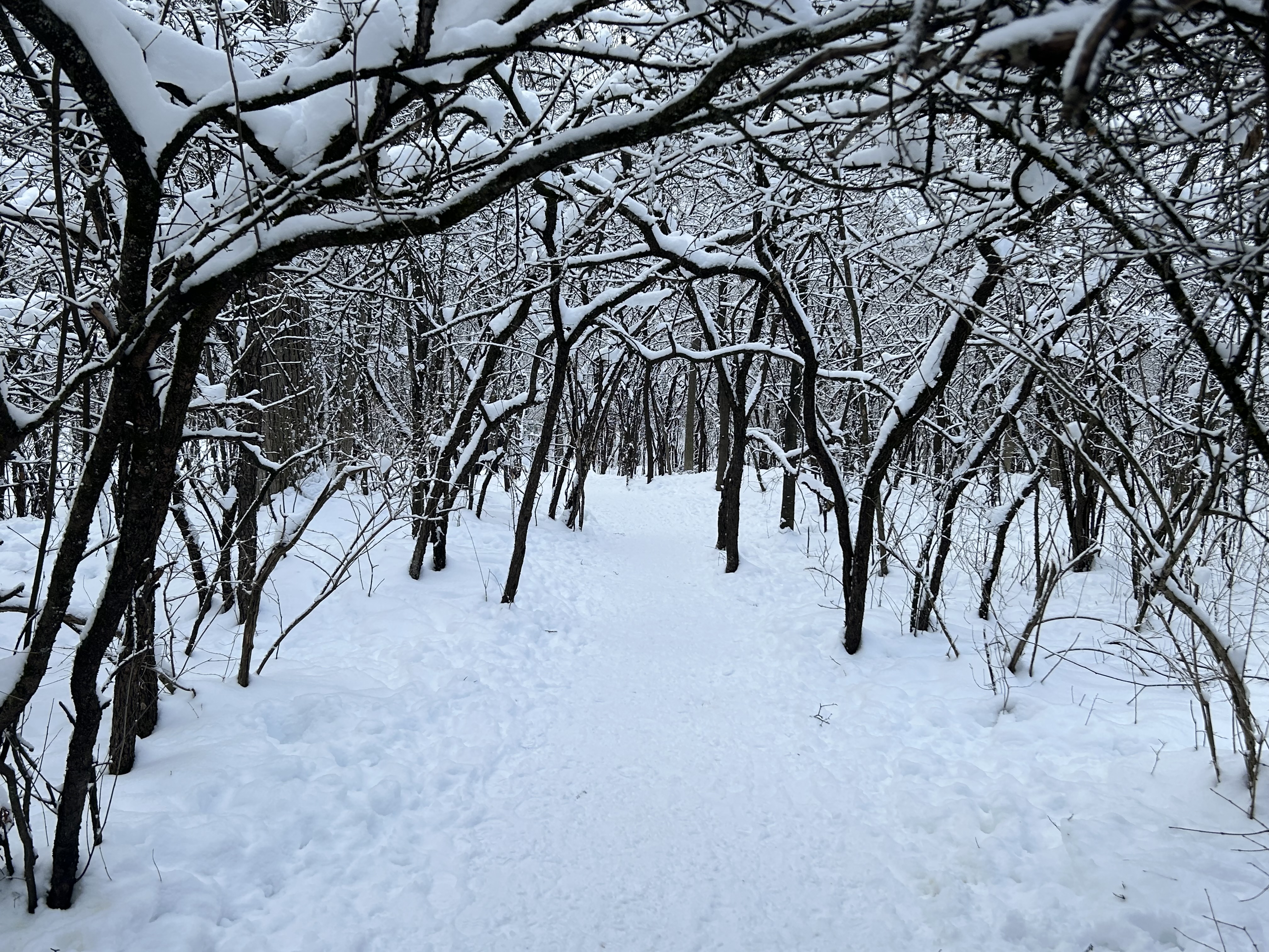 Riverside Terrace Park