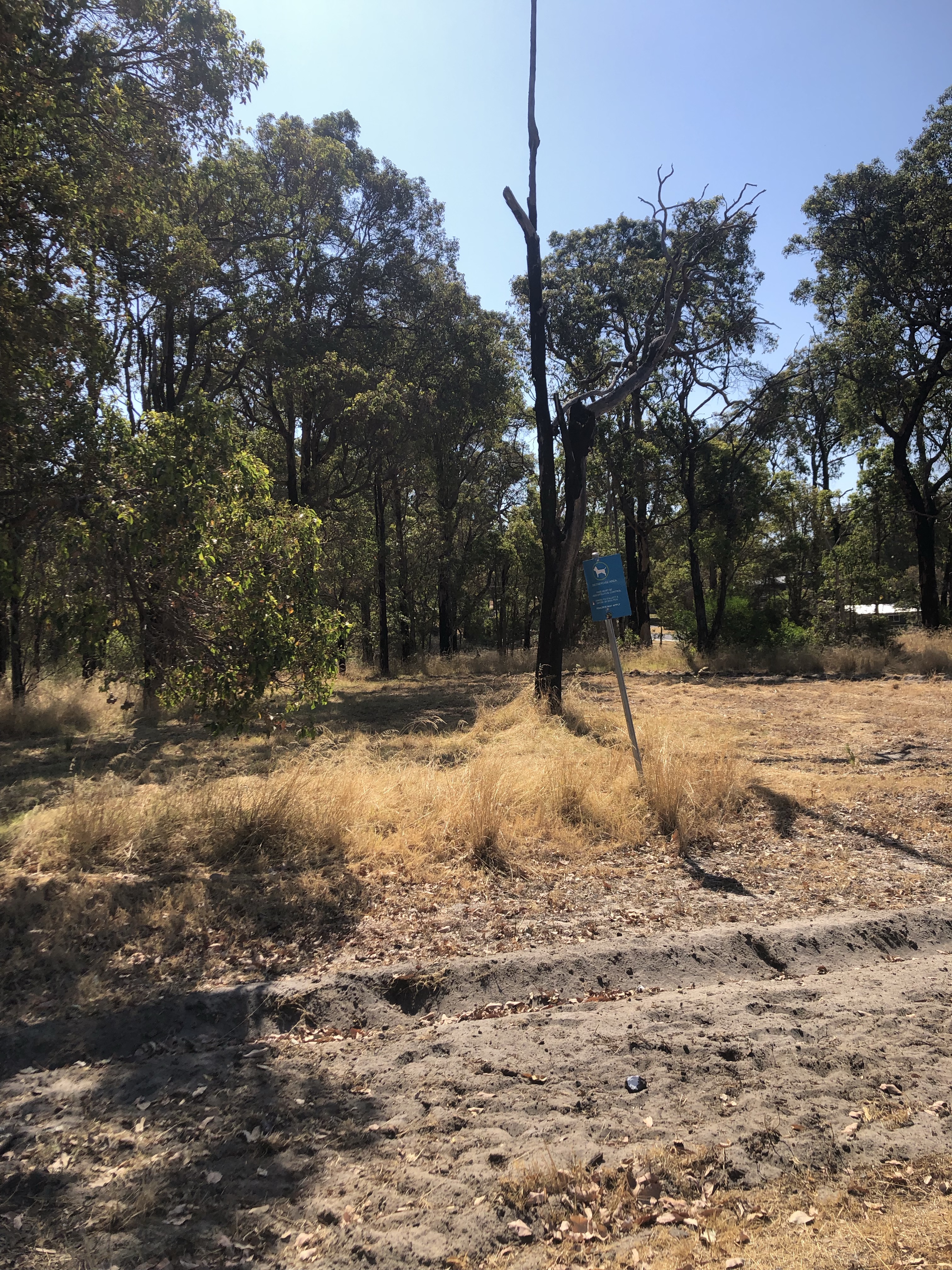 Gelorup Off-Leash Park