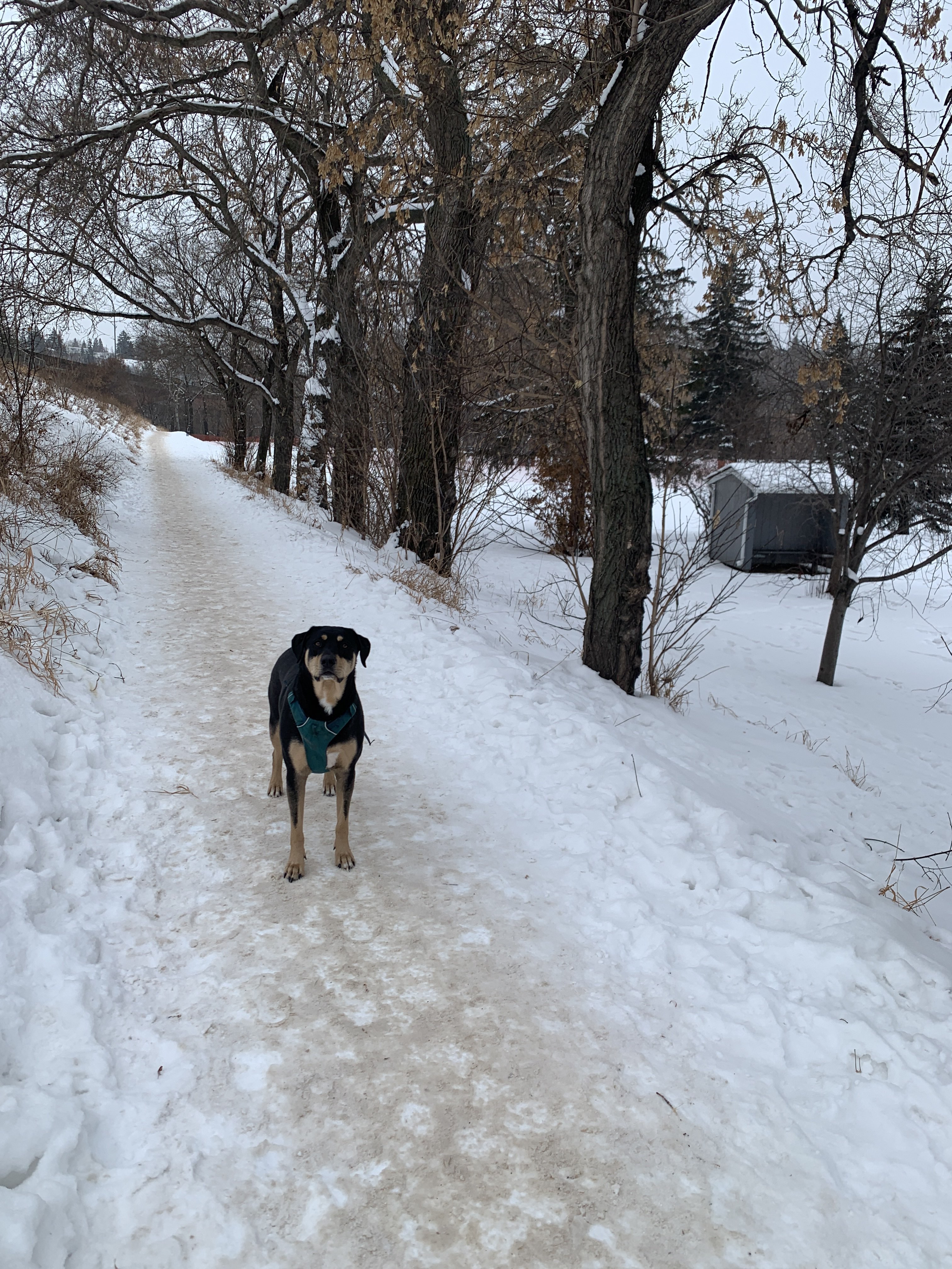 Highlands Golf Course (Winter Only)