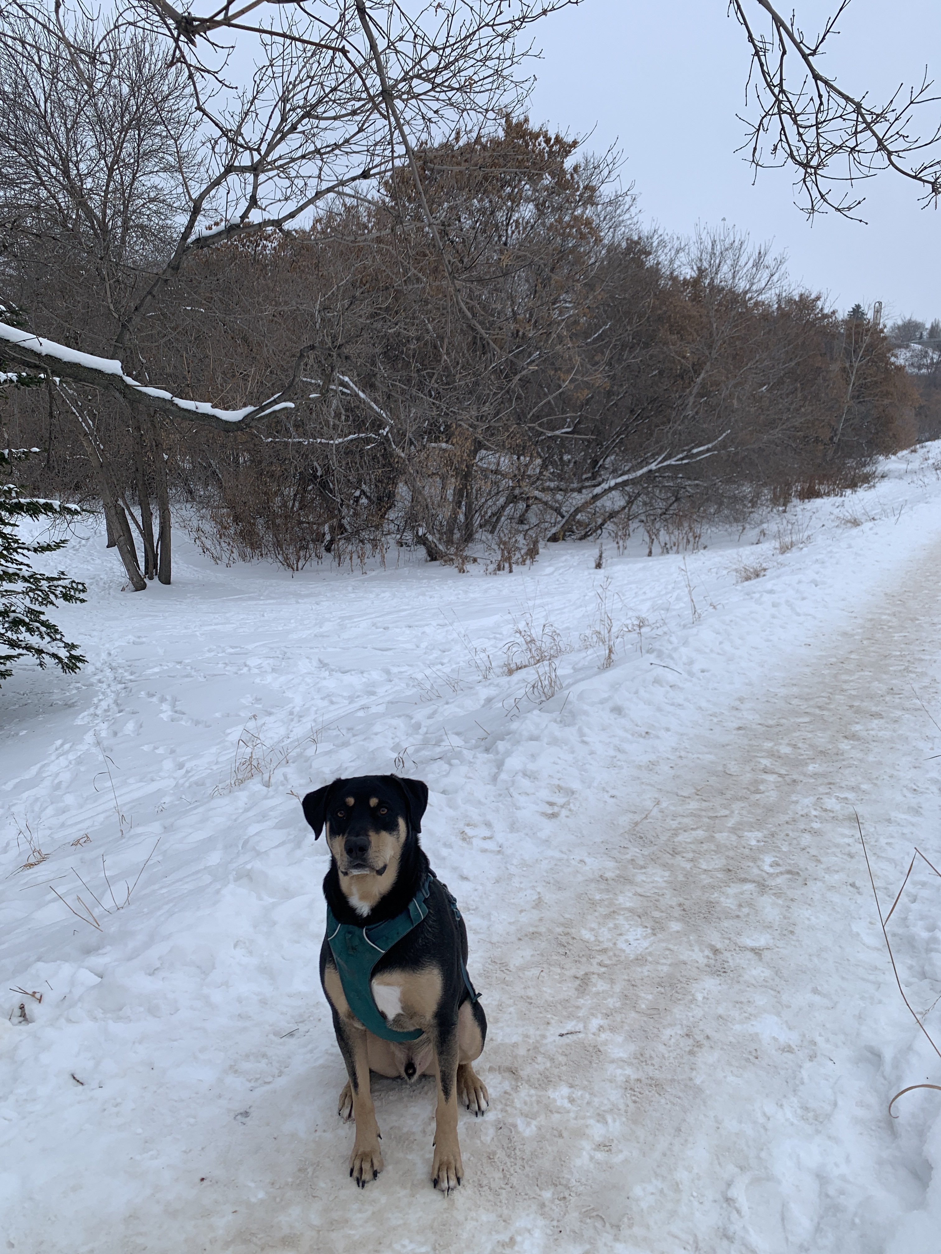 Highlands Golf Course (Winter Only)