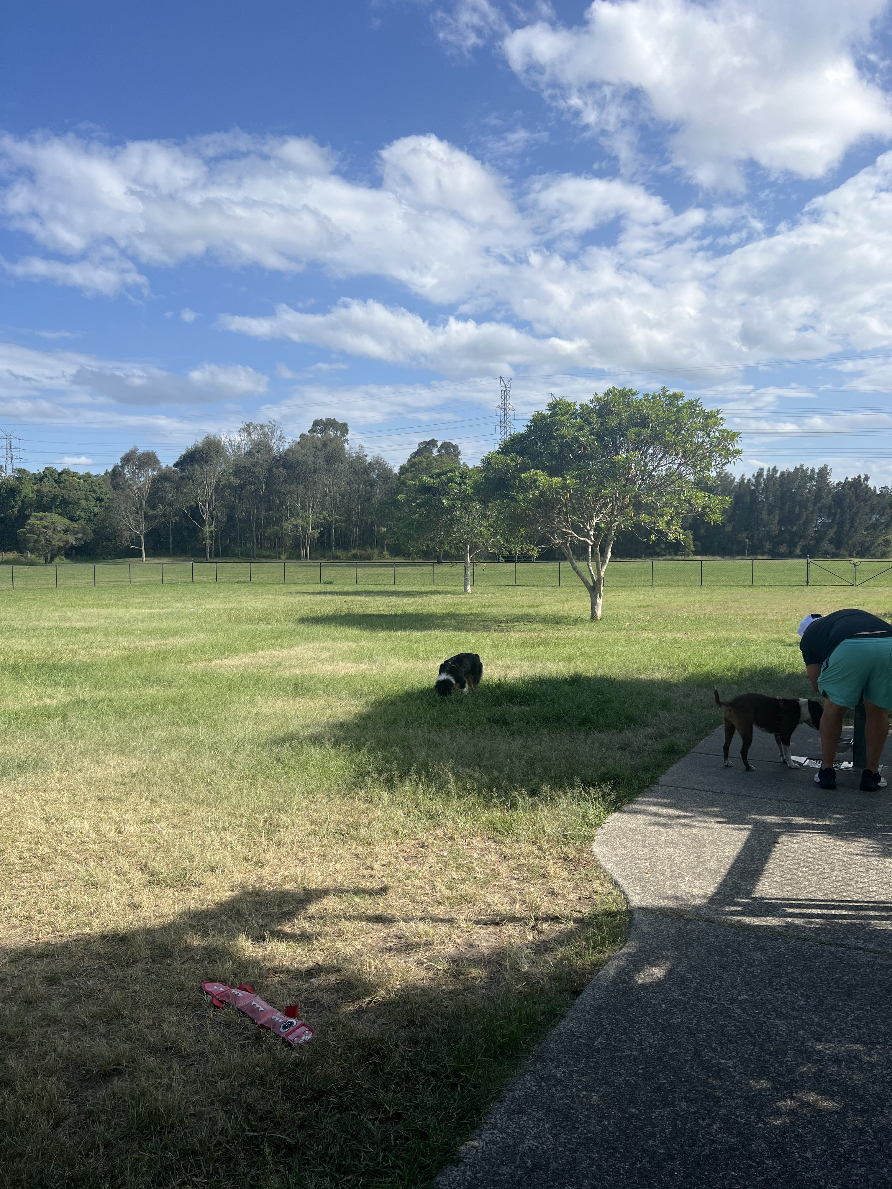 Paul Conti Dog Park