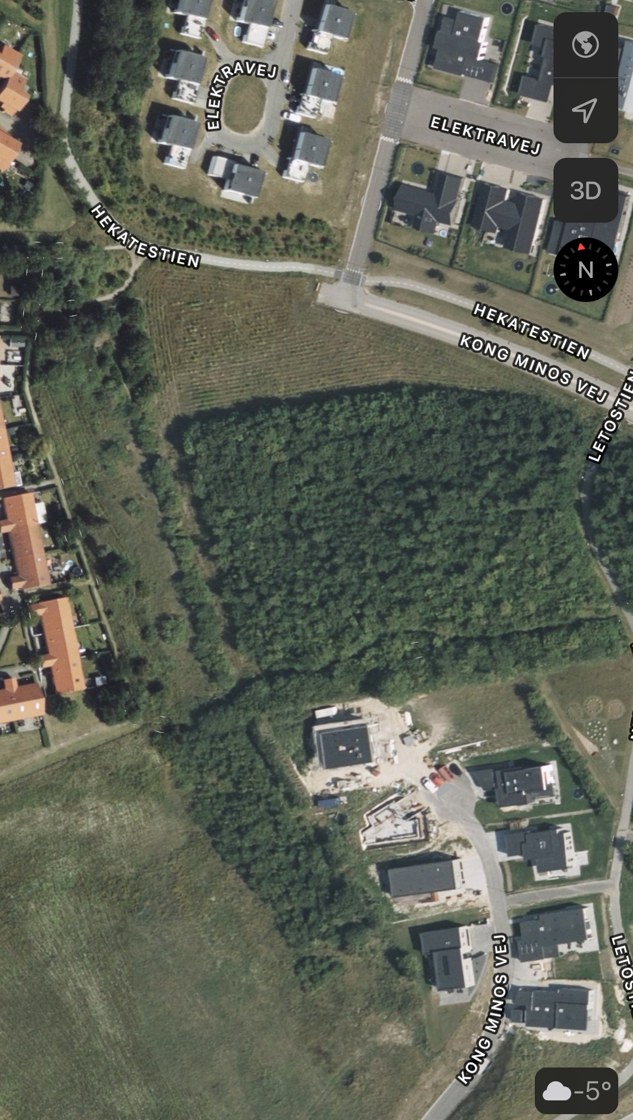 Letostien Forest Area