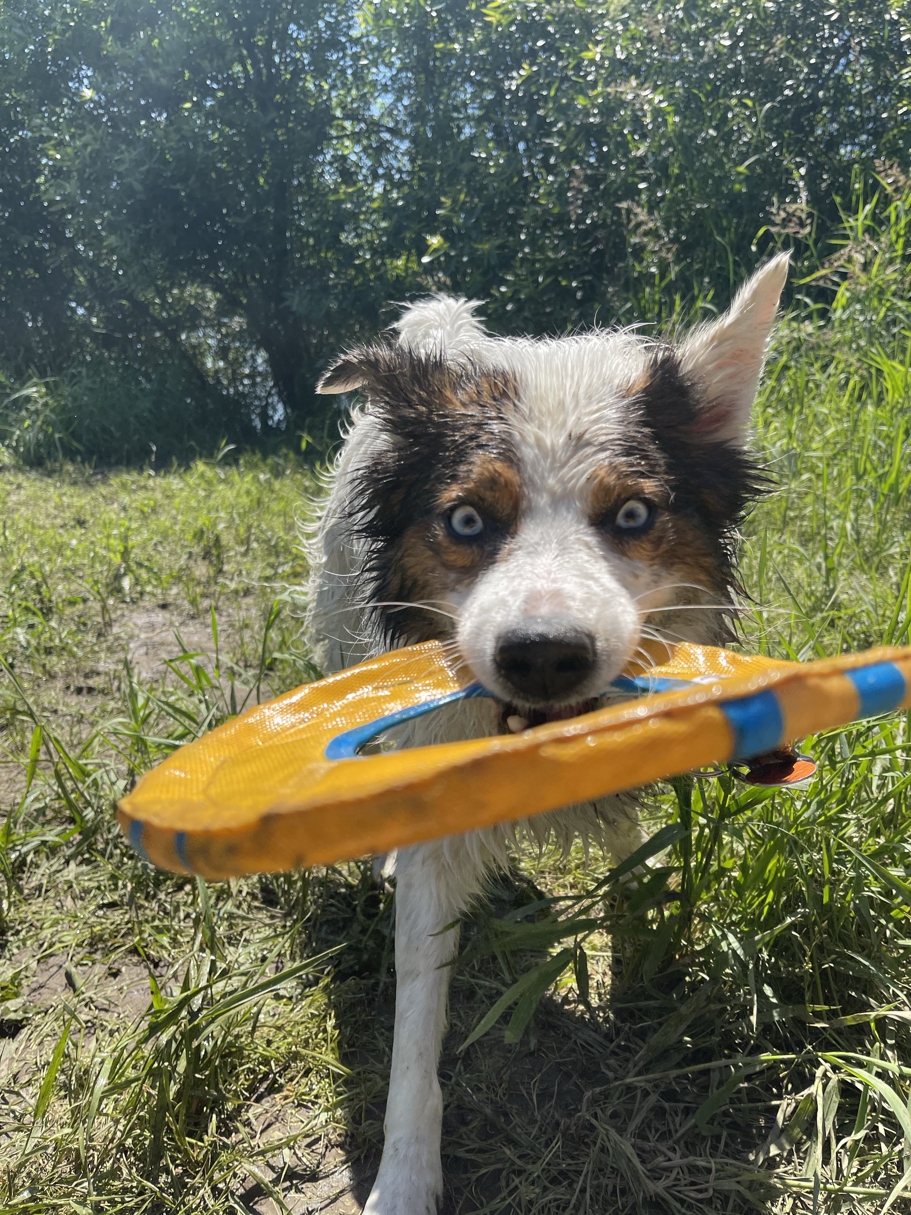 Rogers Landing County Park