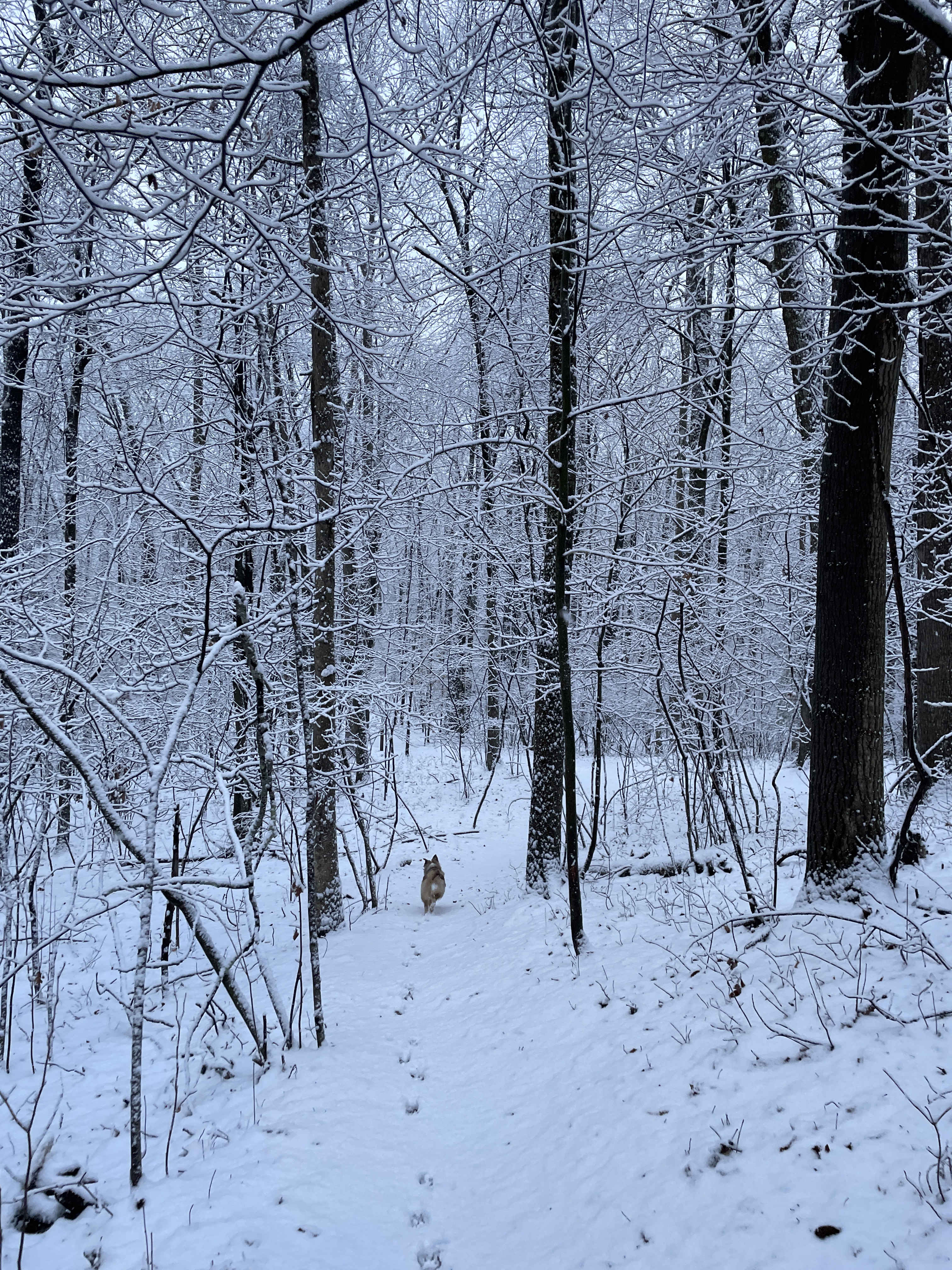 North Woods Nature Preserve