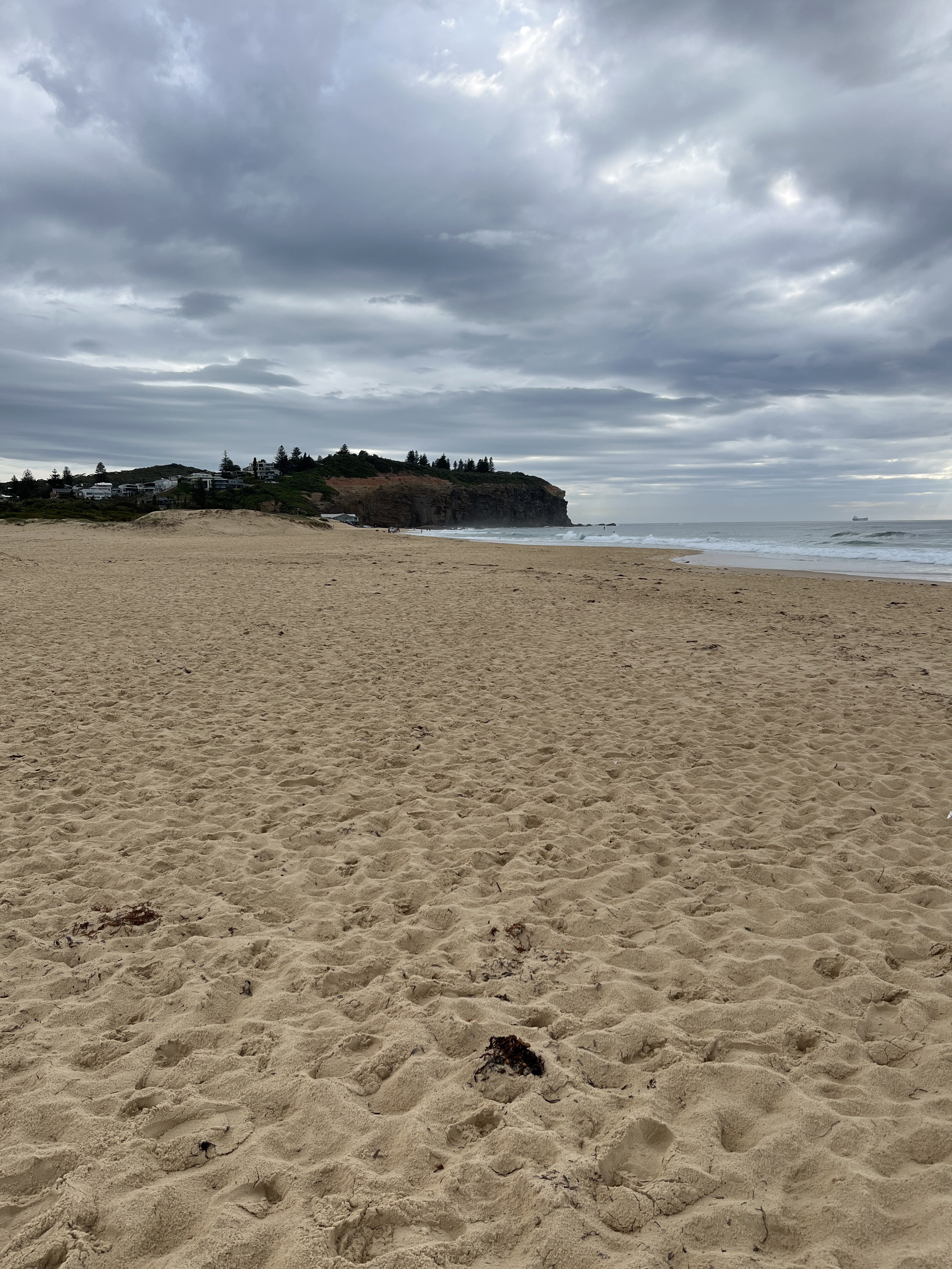 Redhead Off-Leash Dog Beach