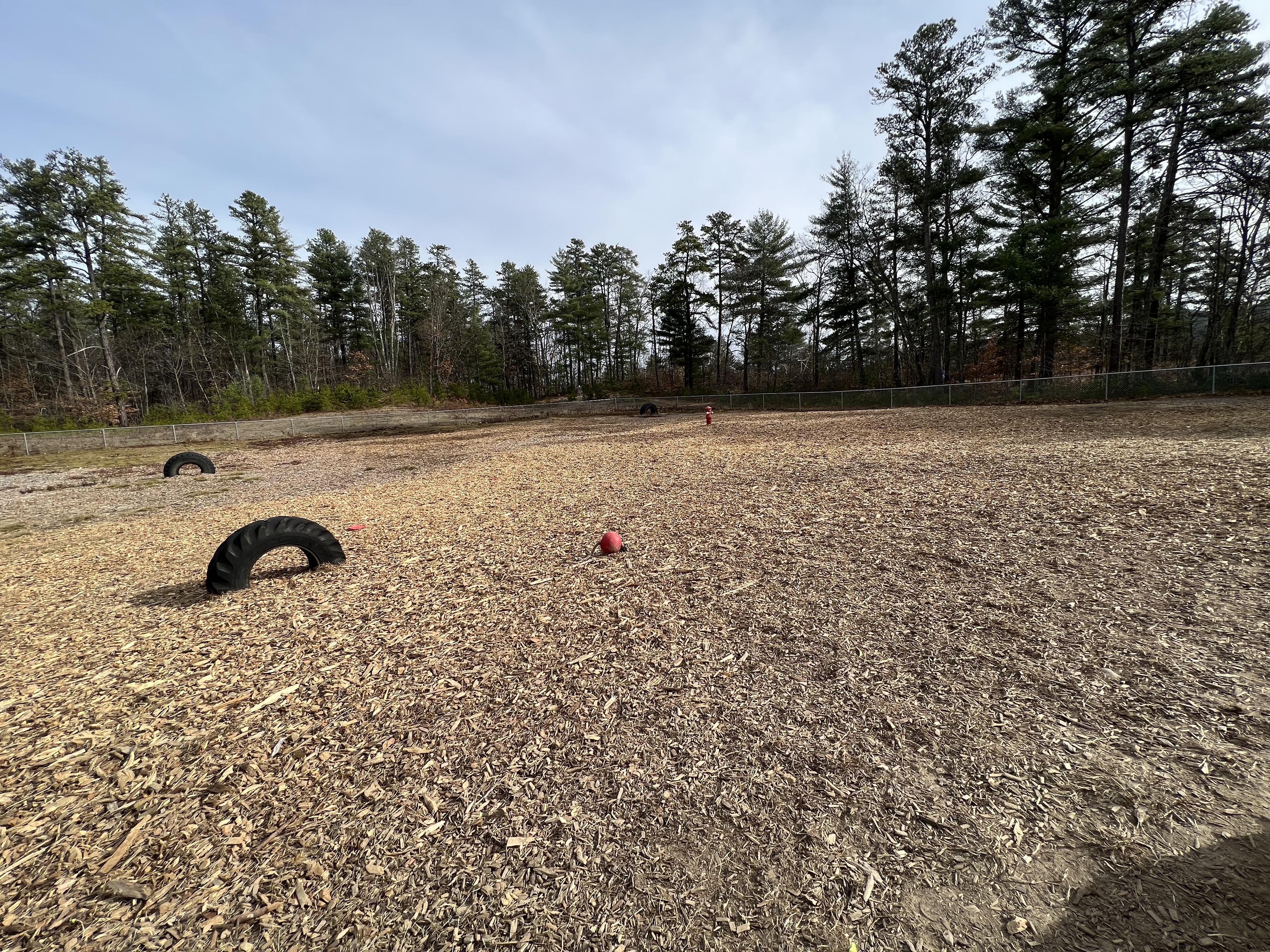 Dog Park at Constitution Park