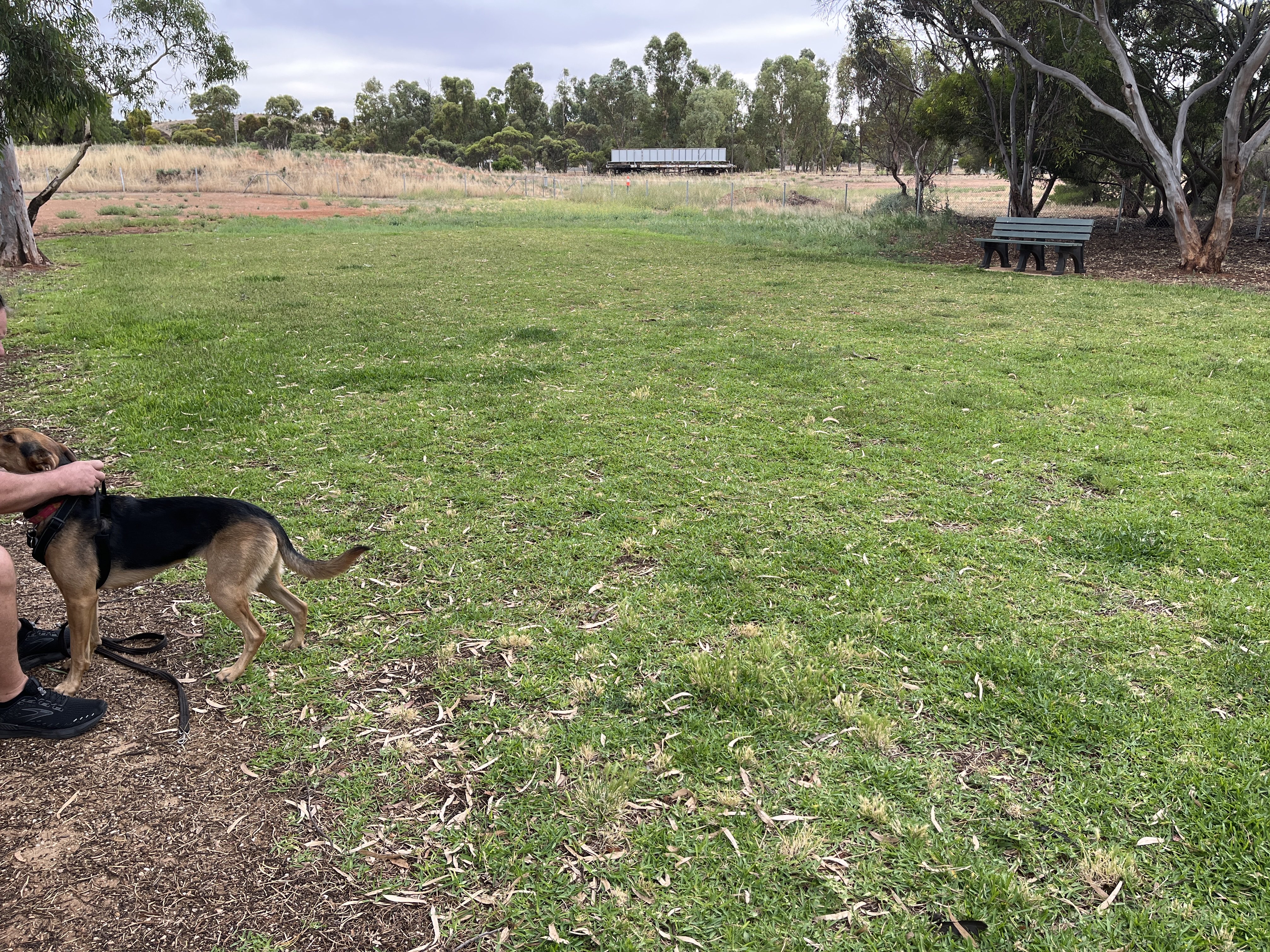 Peterborough Off-Leash Park
