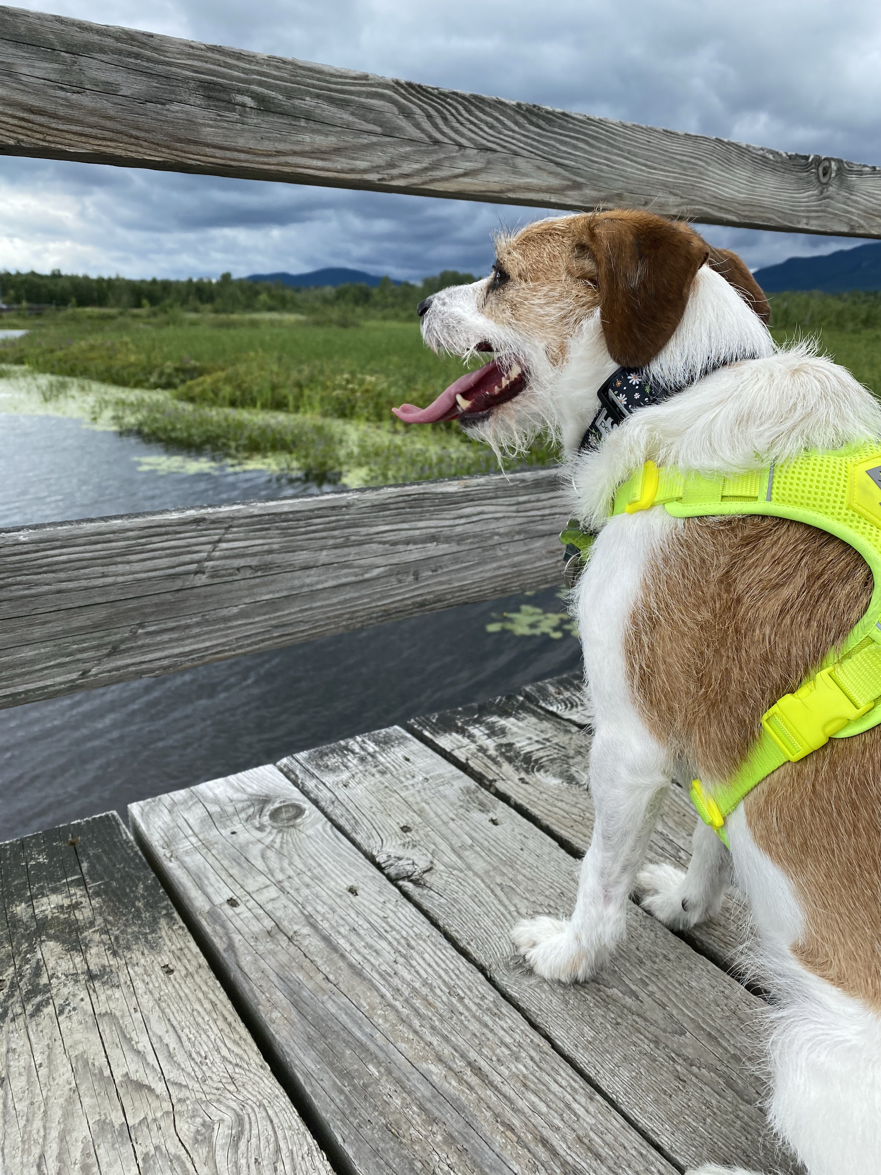 Marais de la Rivière aux Cerises