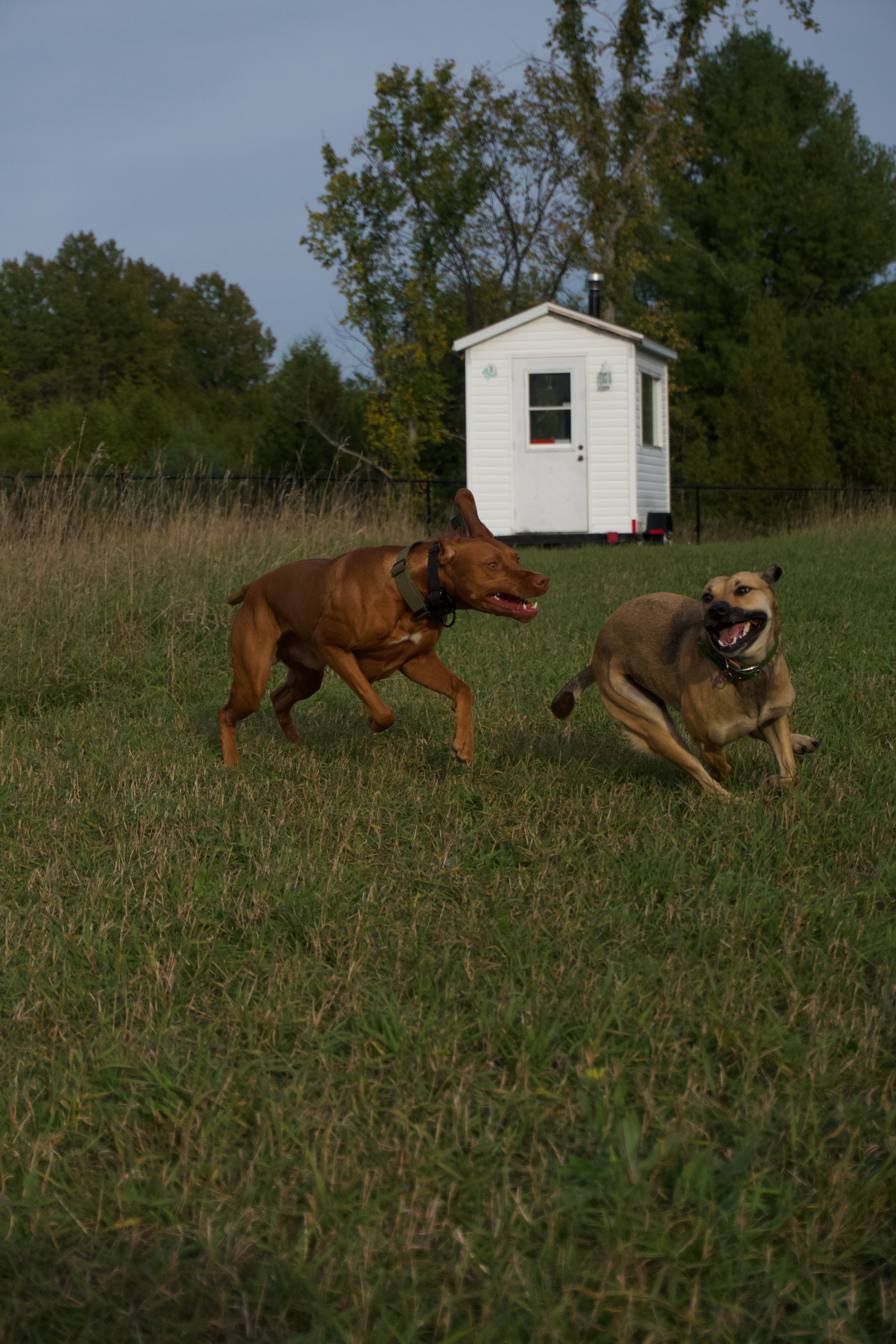 Pawradise Acres (PRIVATE PARK)