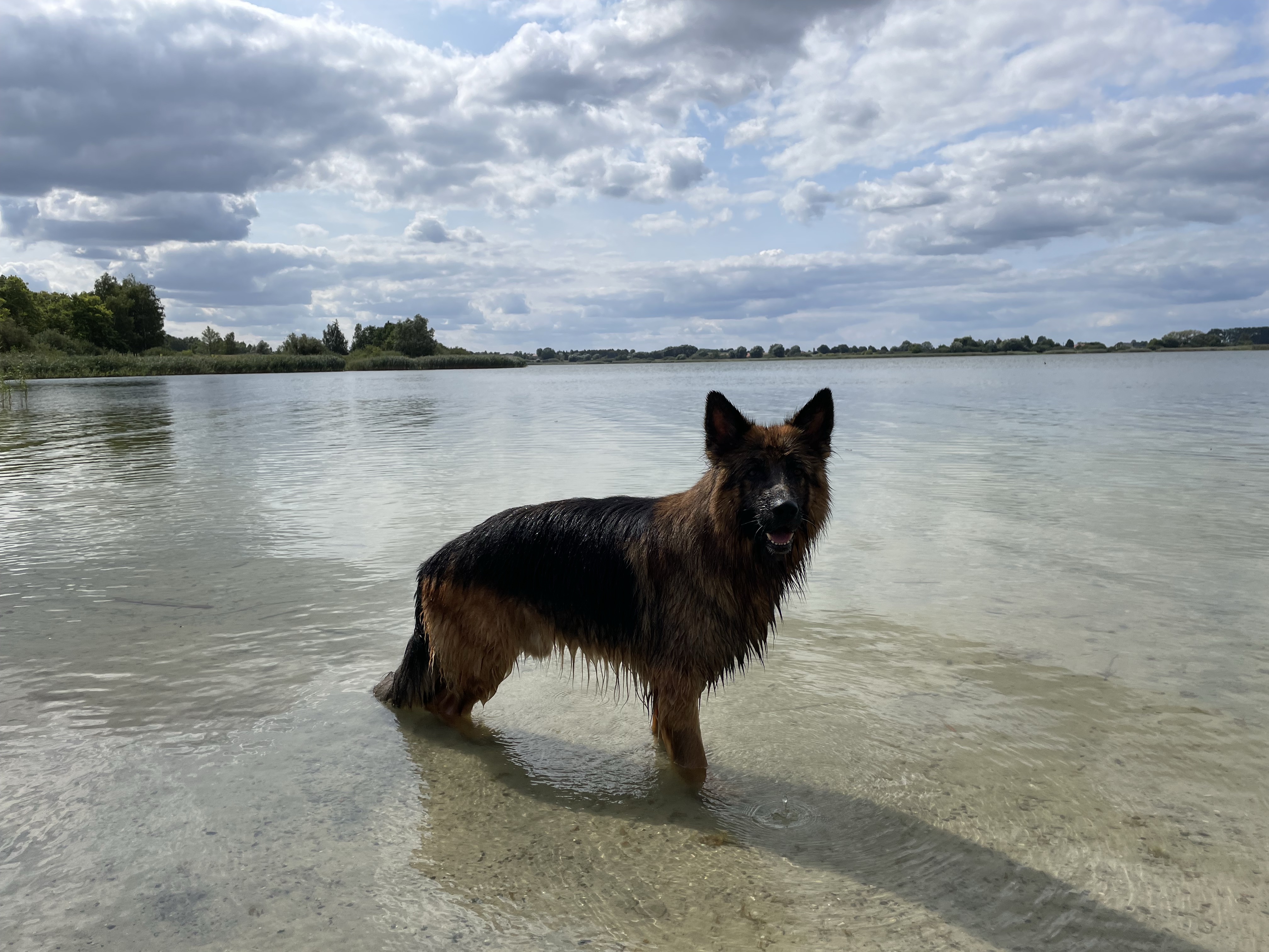 Park na Lednicky/ Dziekanowice off leash