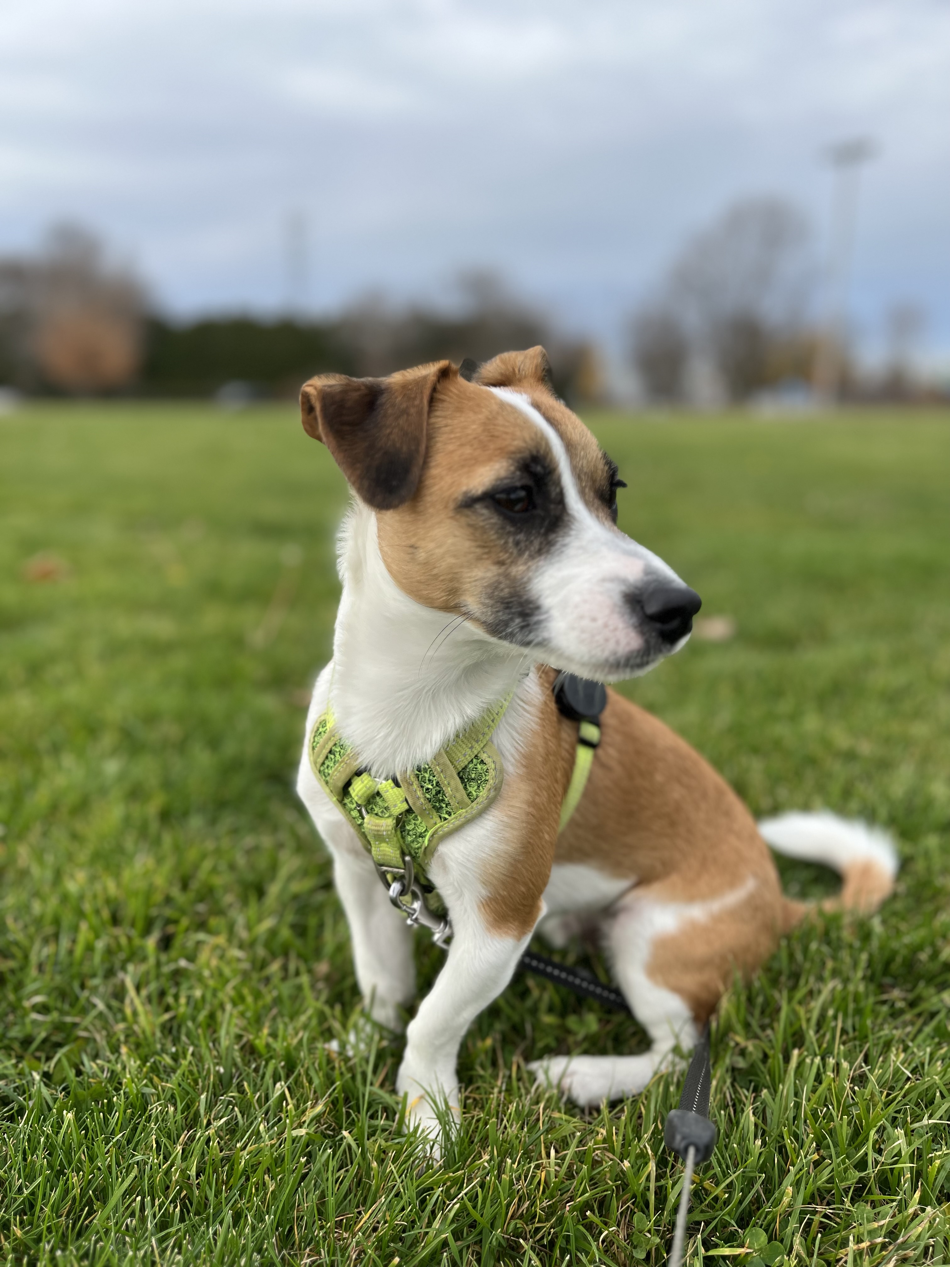 Beaverton Fairgrounds