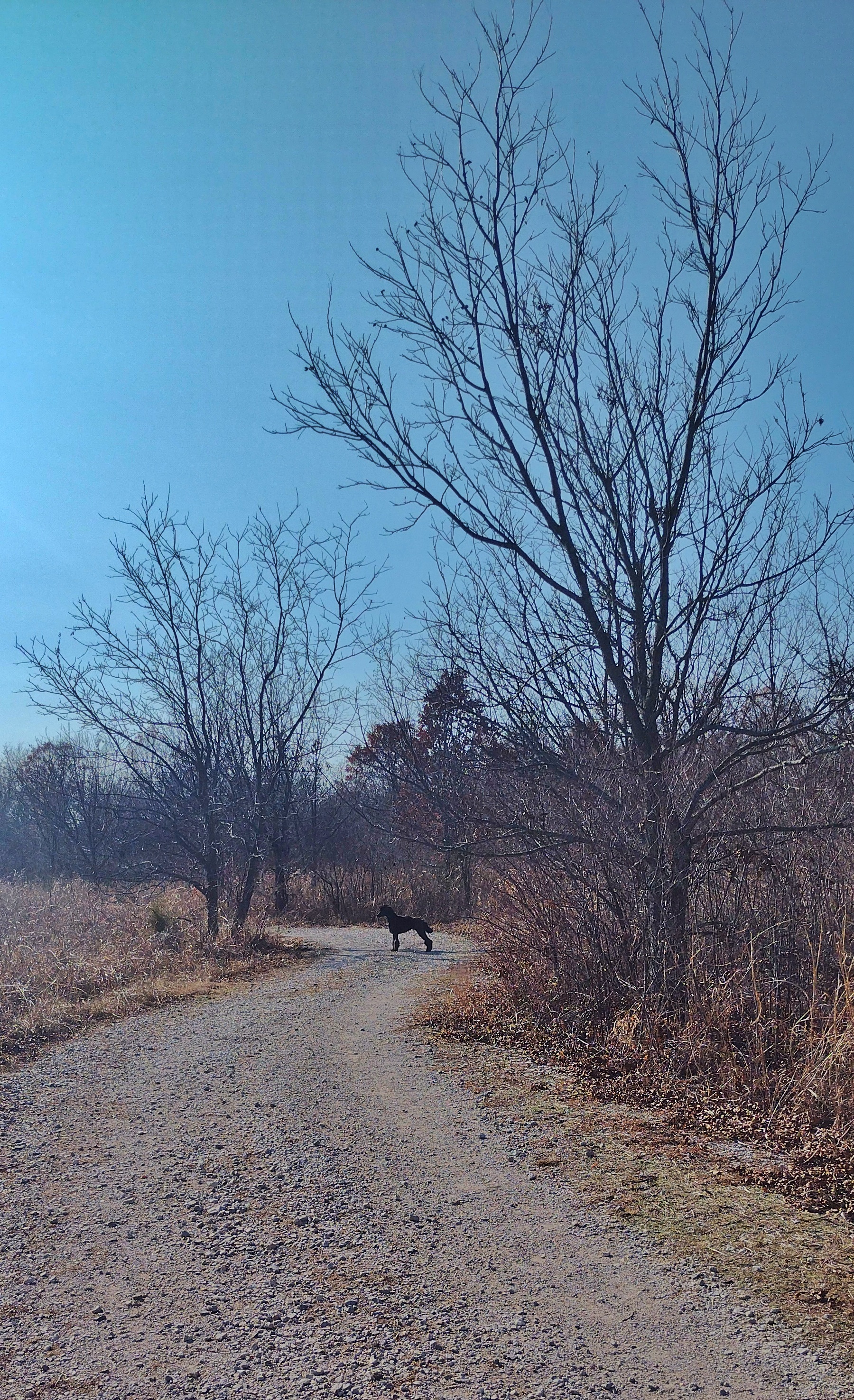Northeastern State University Broken Arrow: Nature Trail