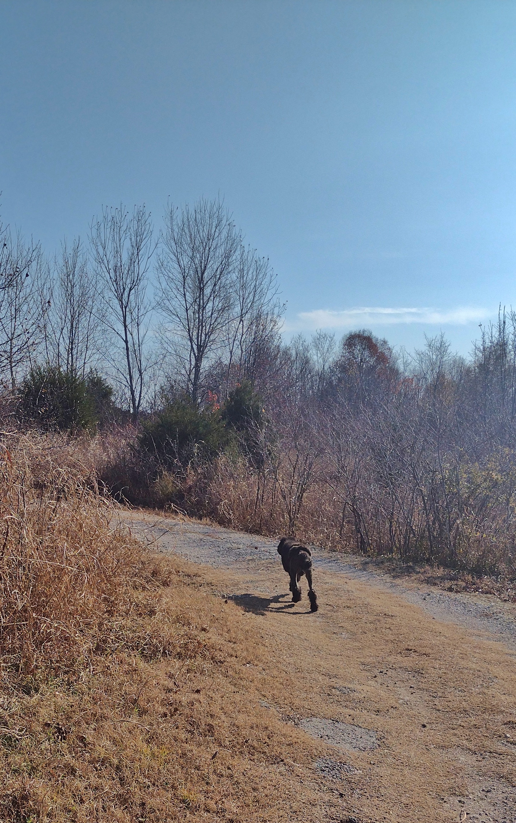 Northeastern State University Broken Arrow: Nature Trail