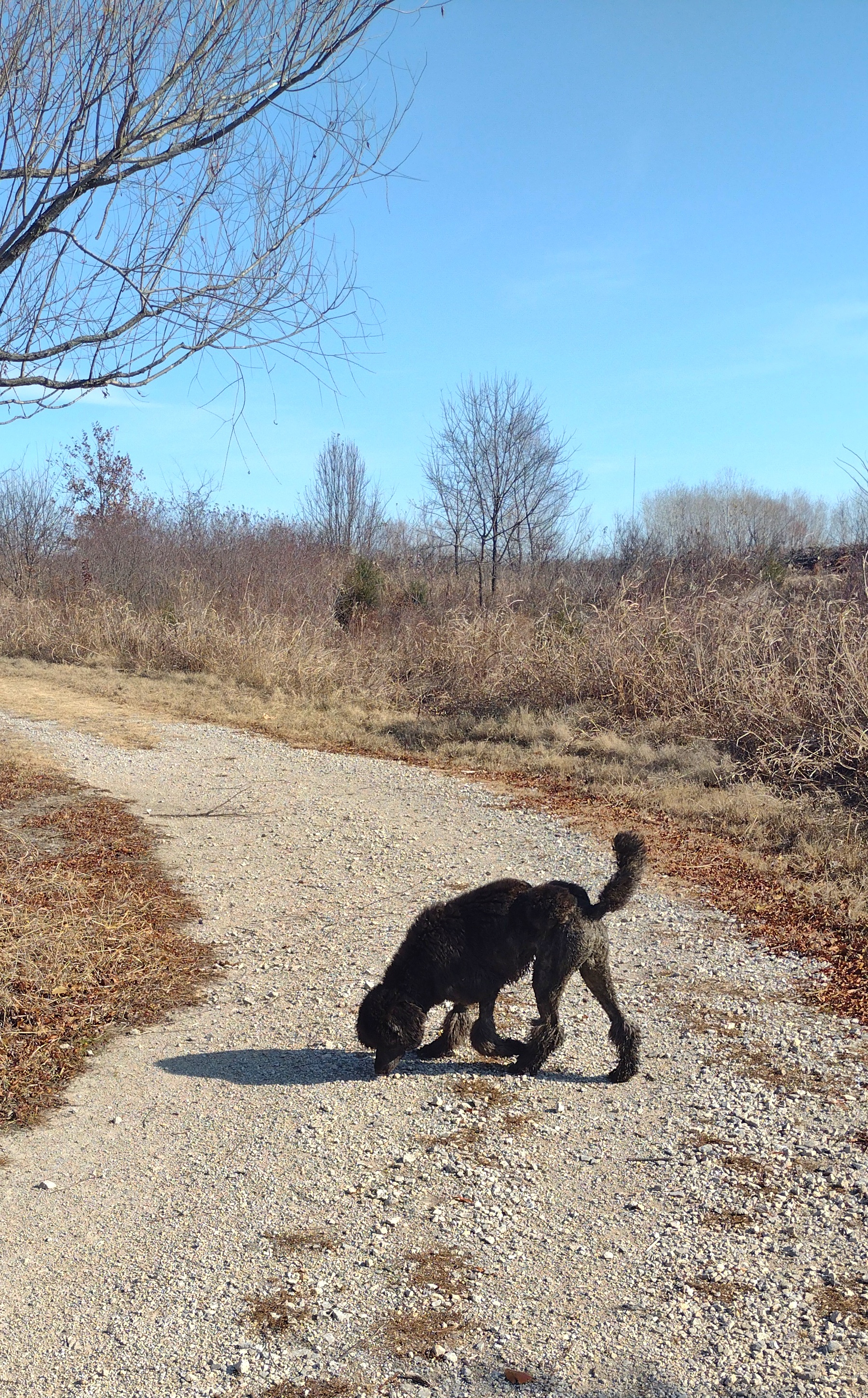 Northeastern State University Broken Arrow: Nature Trail