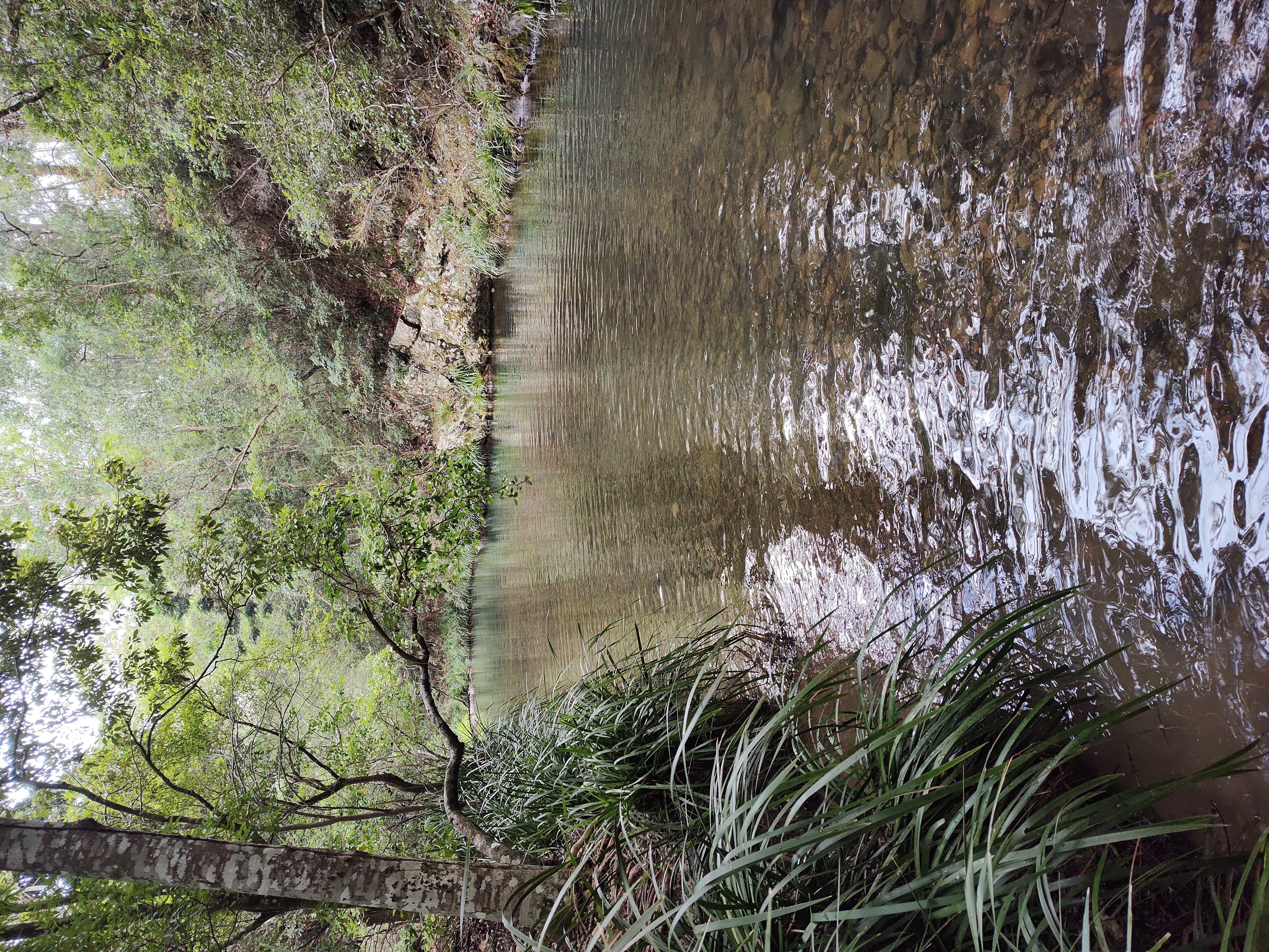 Little Clagiraba Reserve