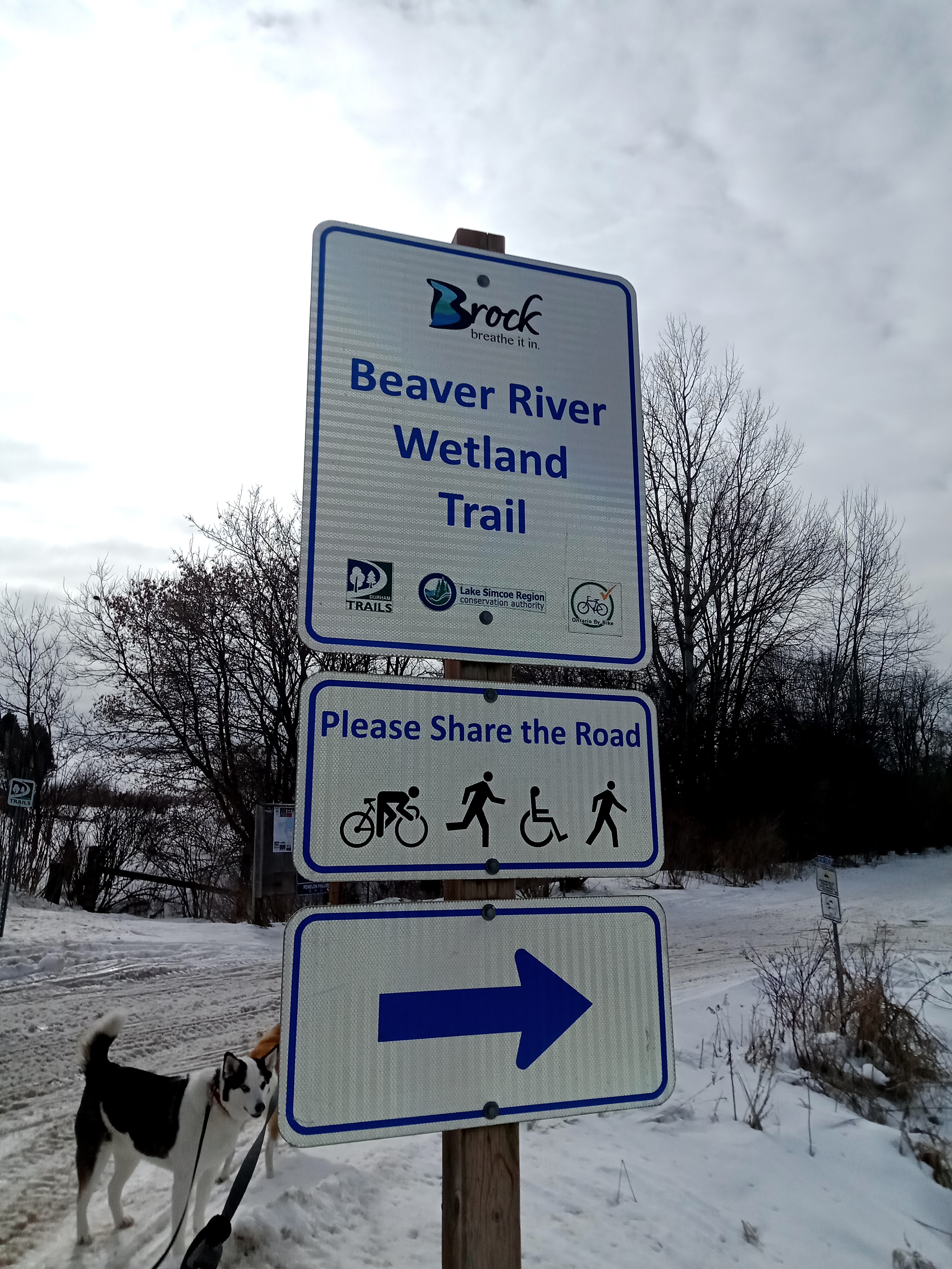 Beaver River Wetland Trail