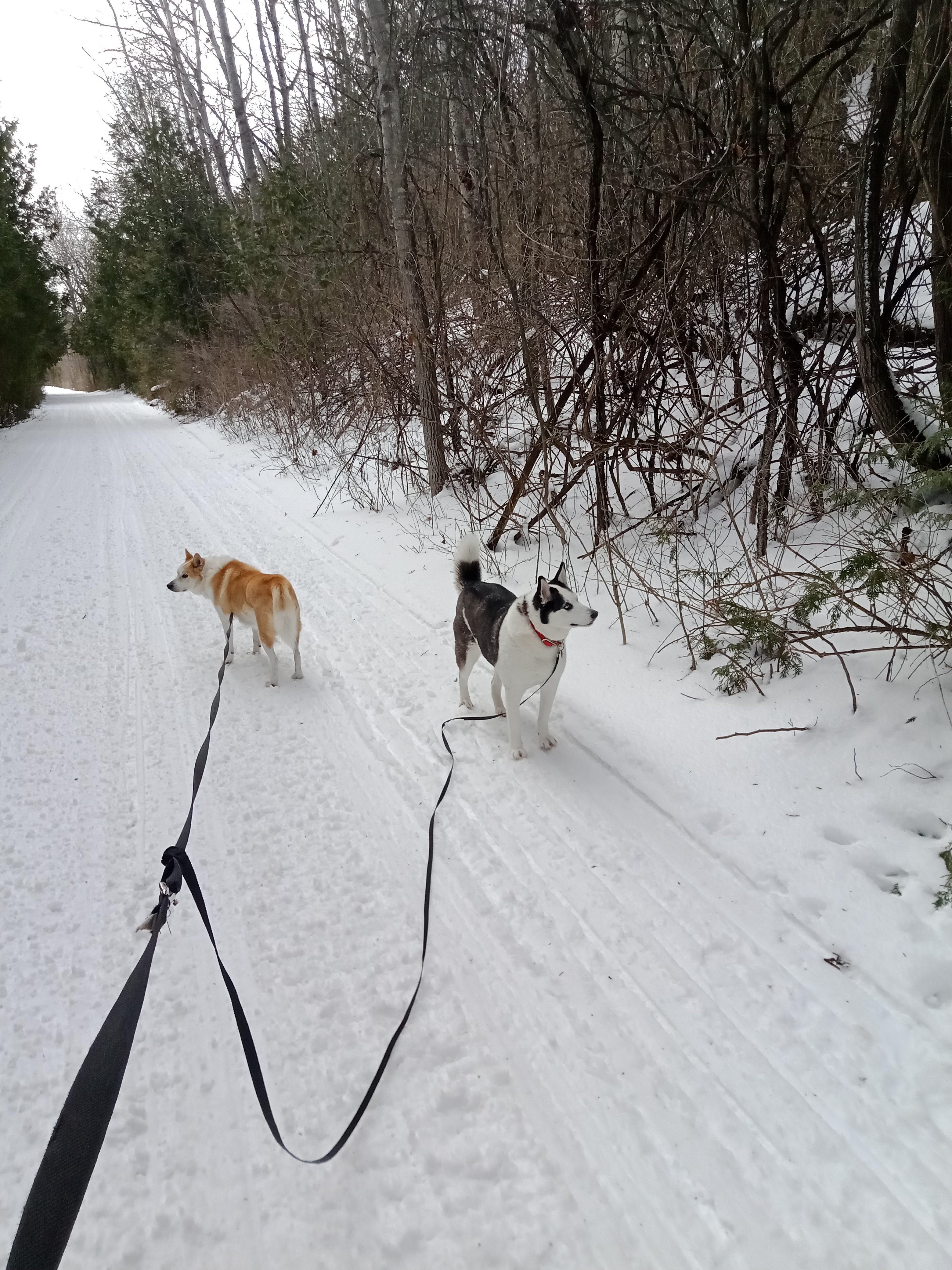 Beaver River Wetland Trail