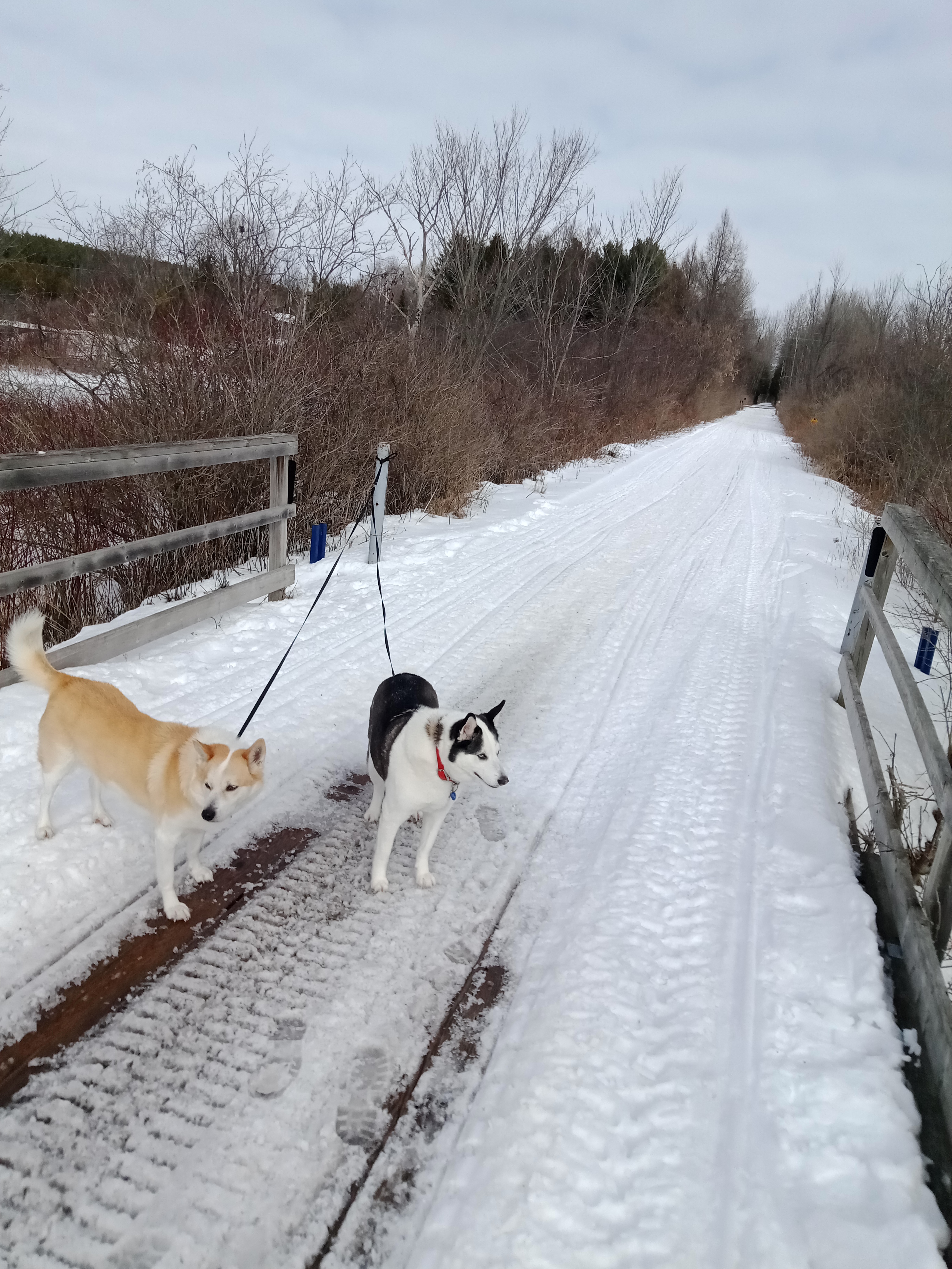 Beaver River Wetland Trail