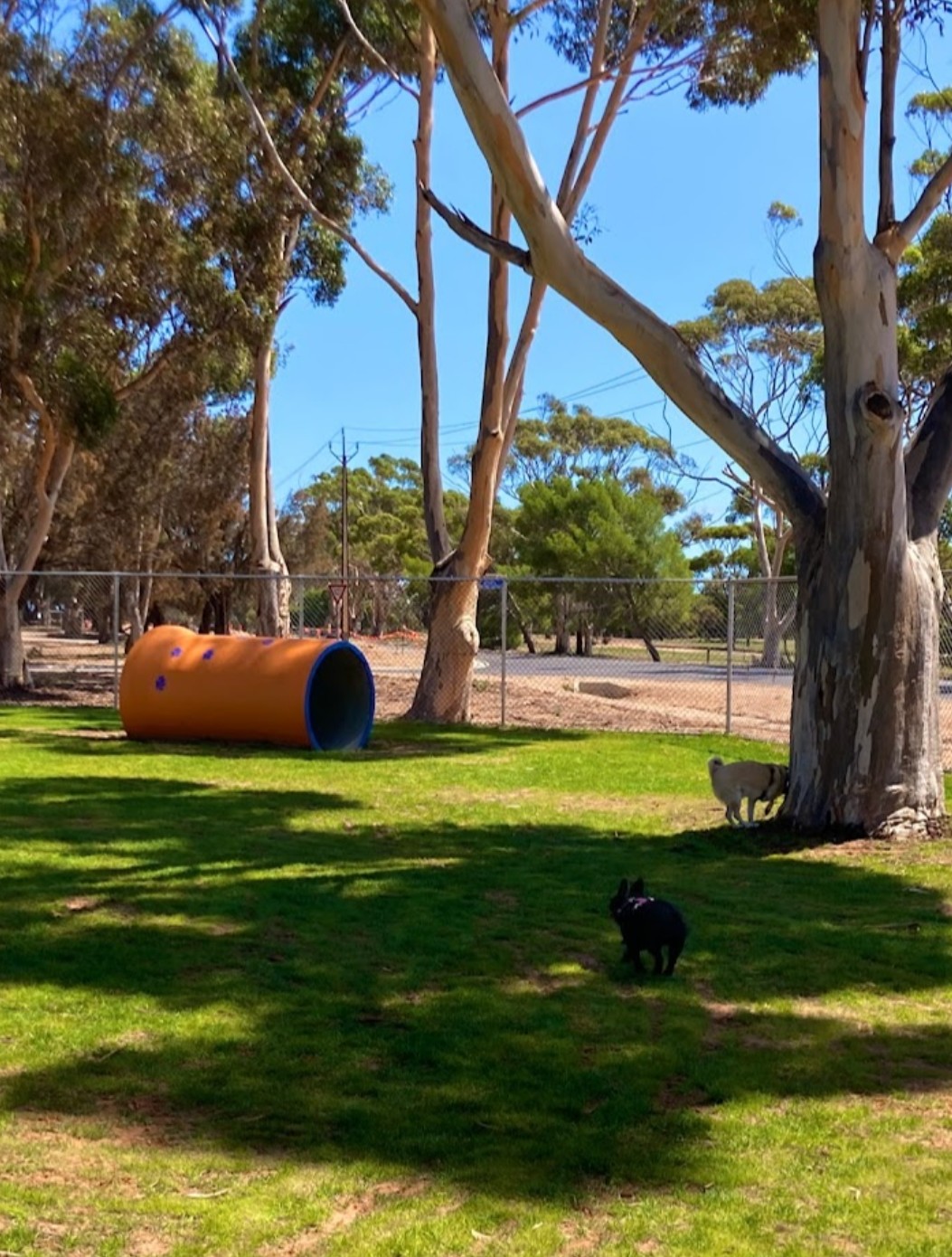 Moonta Dog Park