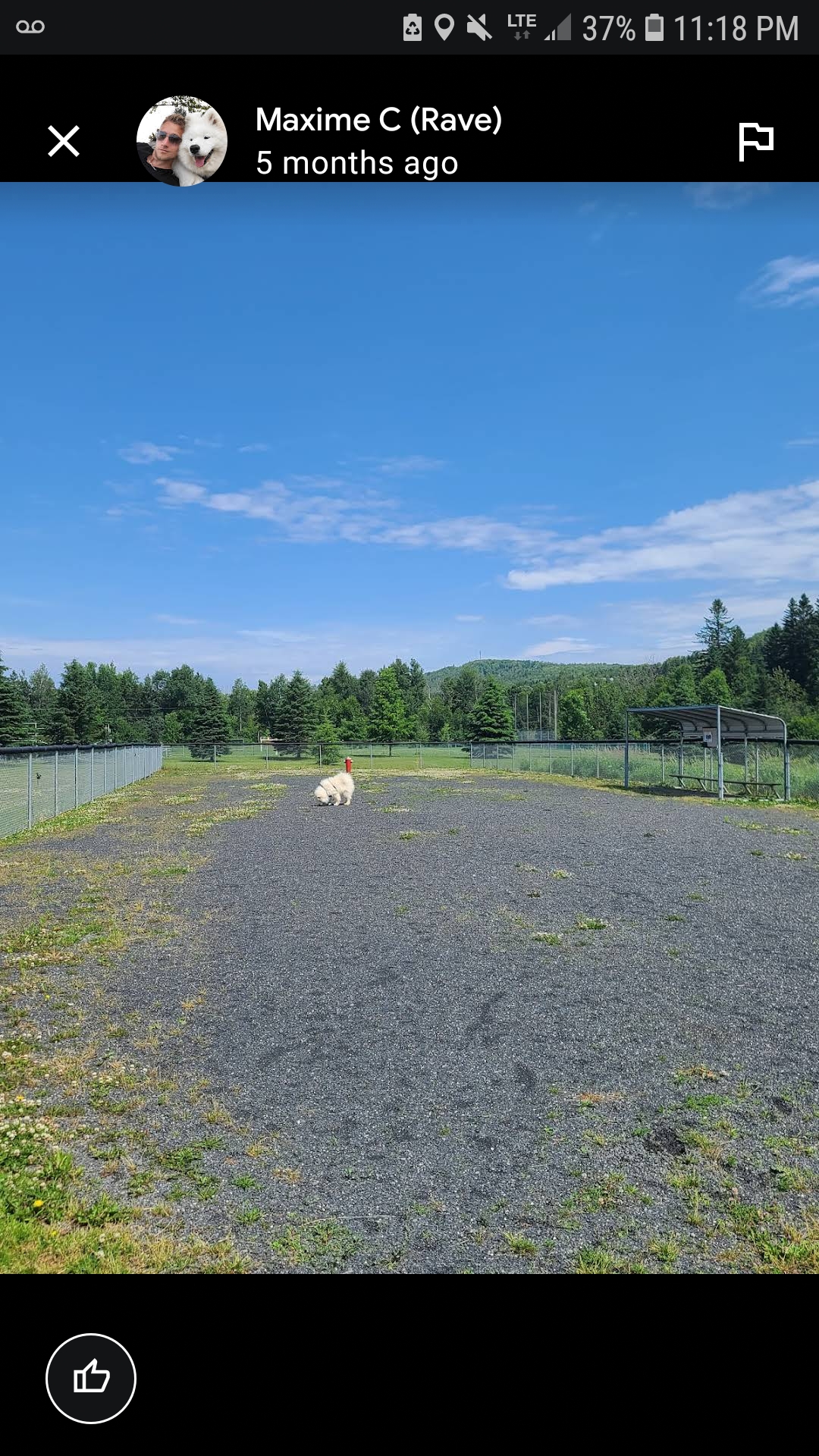 Parc Canin St-Jacques Dog Park