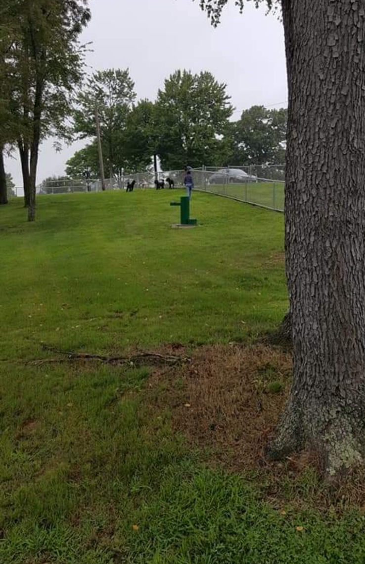 Derry Community Dog Park