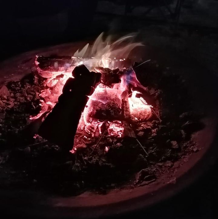 Myrna-Lori_Collins_Nl8i