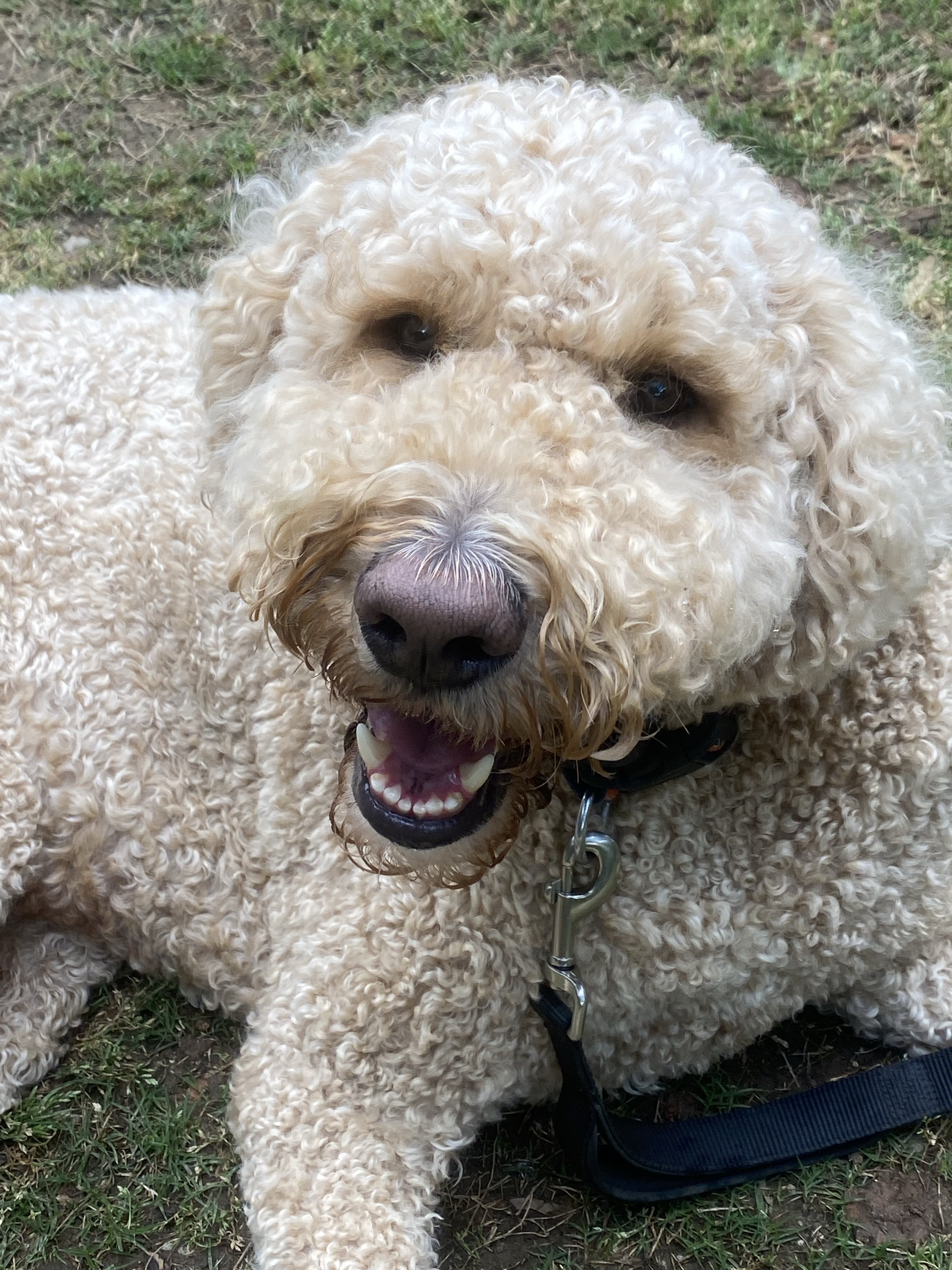 Stephanie_Dougherty_9NNi