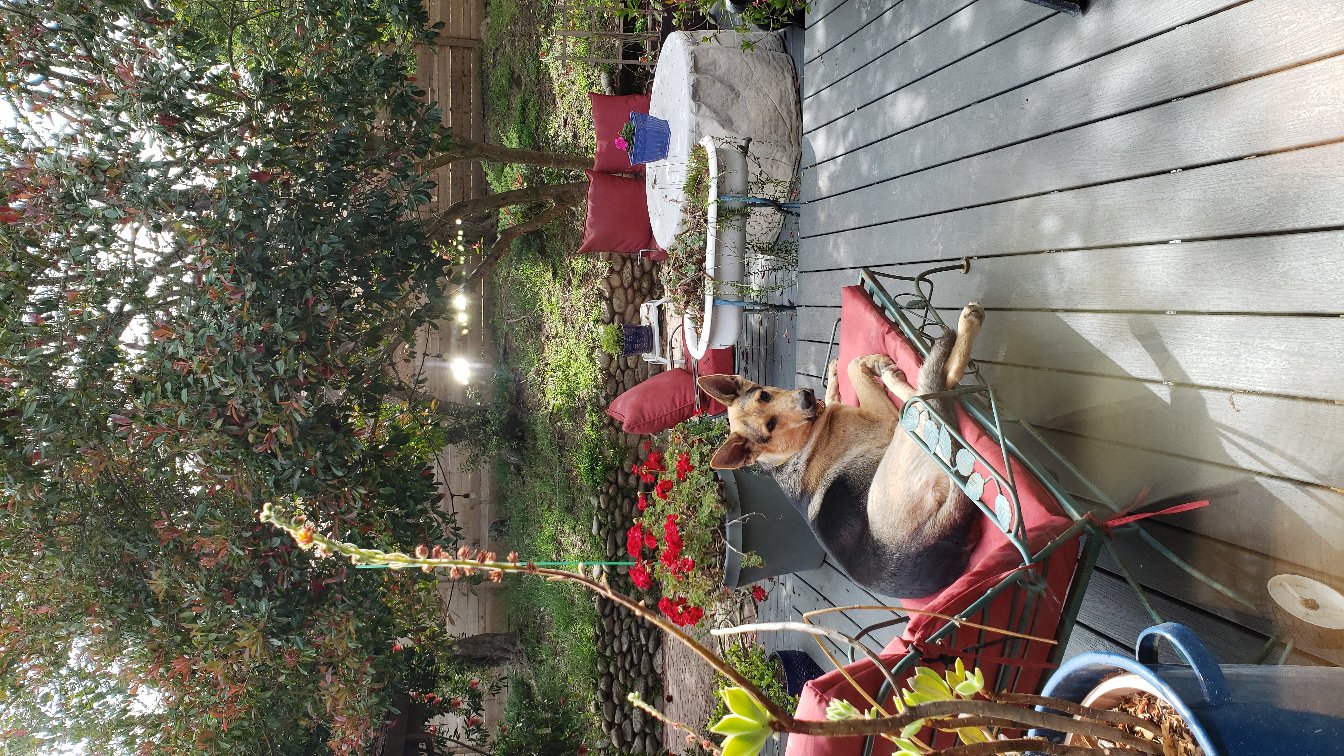 Ginapaolini123@gmail.com